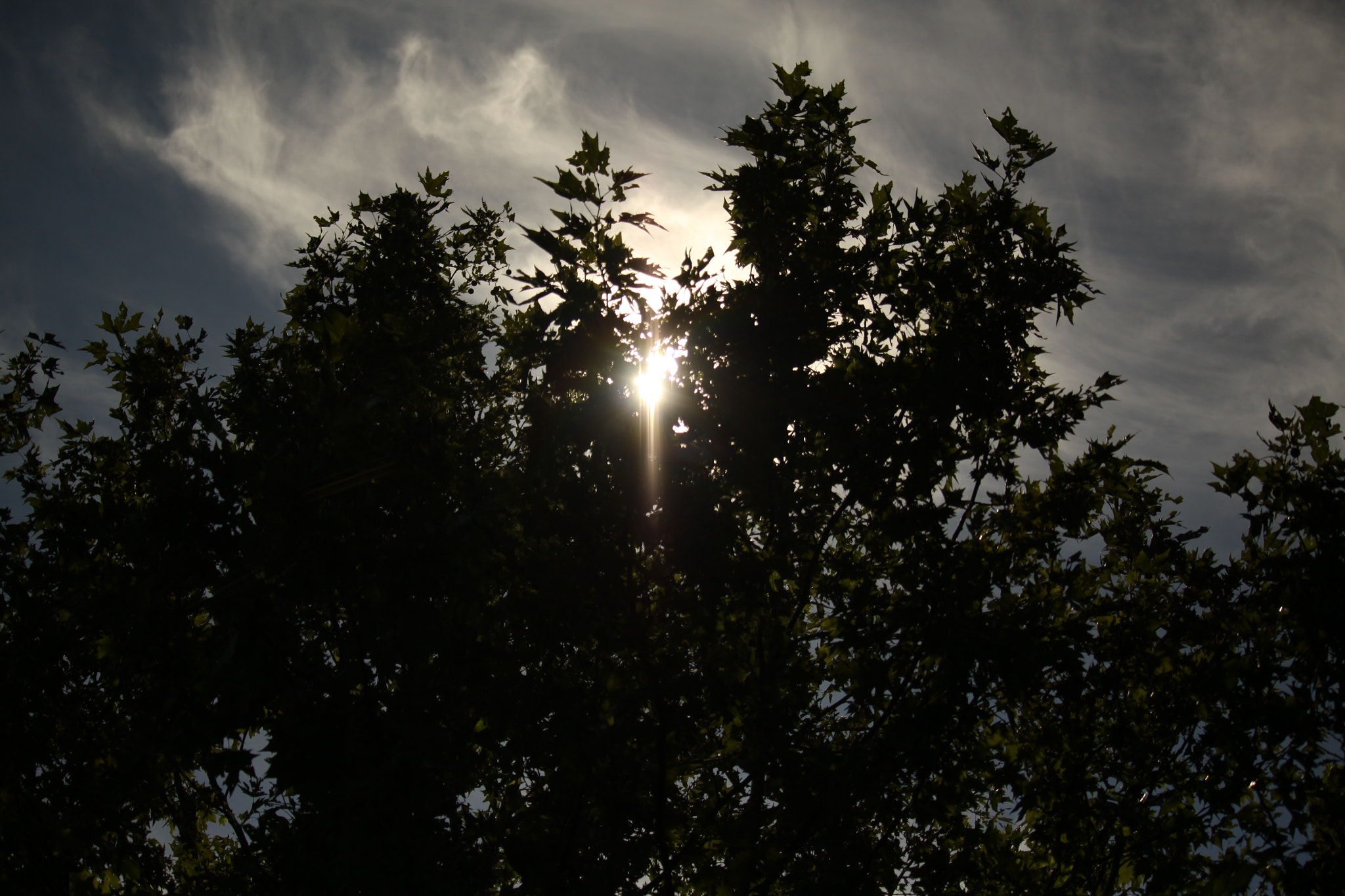 Canon EF-S 55-250mm F4-5.6 IS STM sample photo