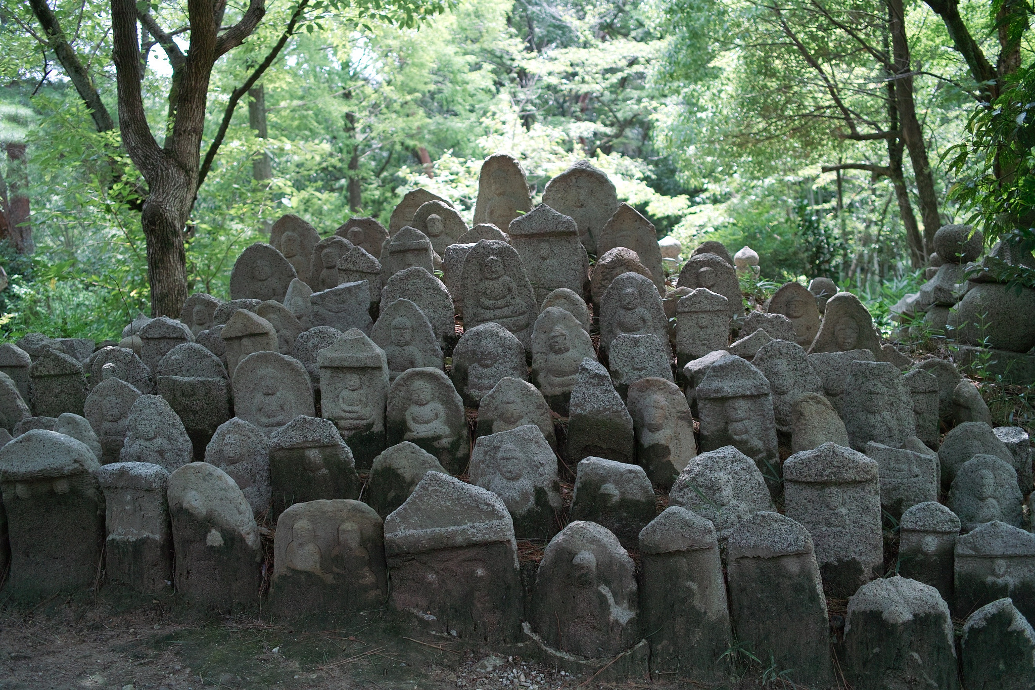 Sigma DP2s sample photo. 新薬師寺の石仏群 photography