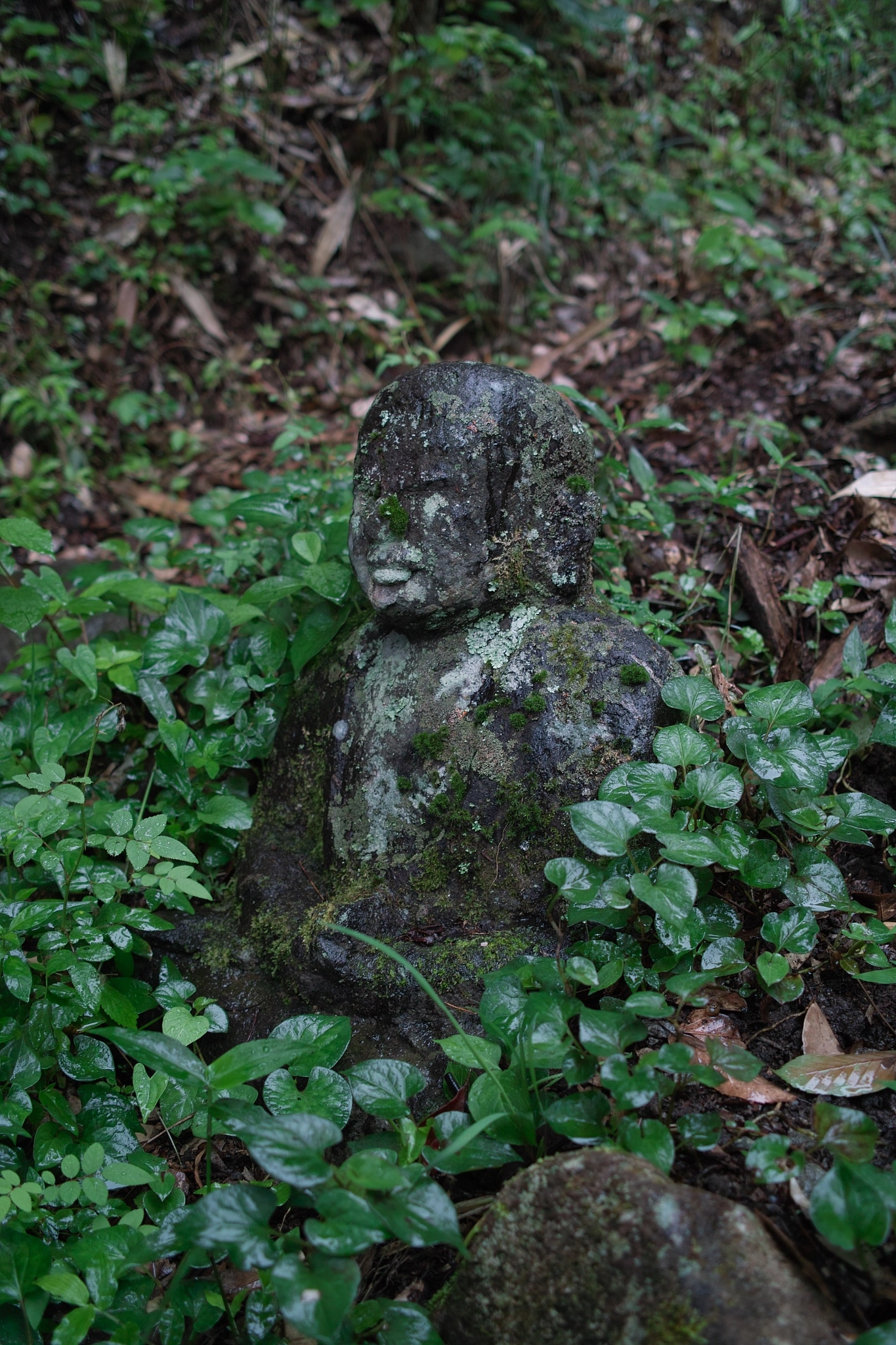 Sigma DP2s sample photo. Rakanji temple in kyushu photography