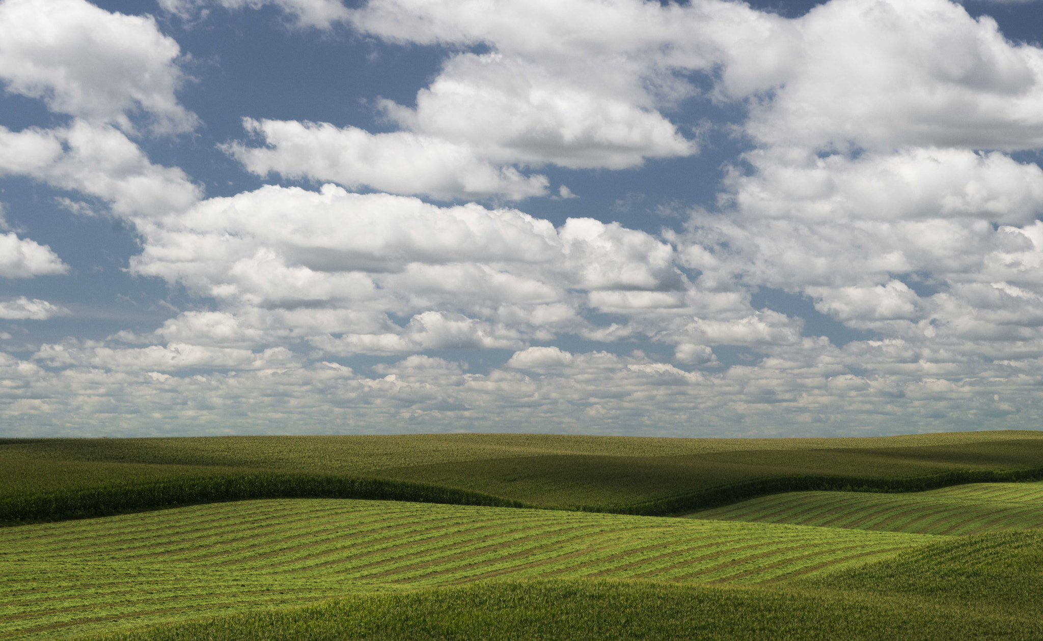 Nikon D800 + Sigma 24-70mm F2.8 EX DG Macro sample photo. No this is iowa photography