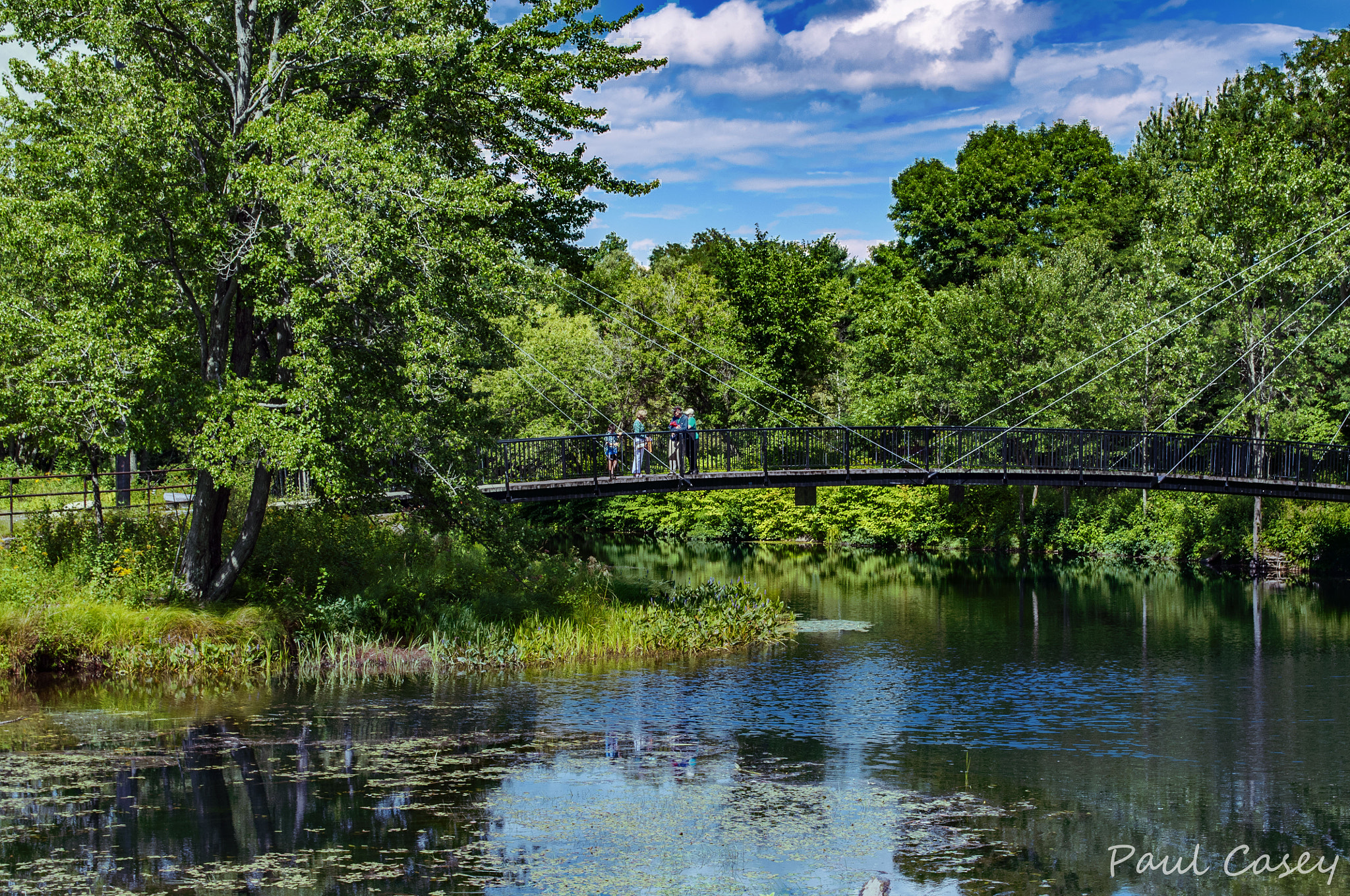 Nikon D300 sample photo. A walk in the park photography