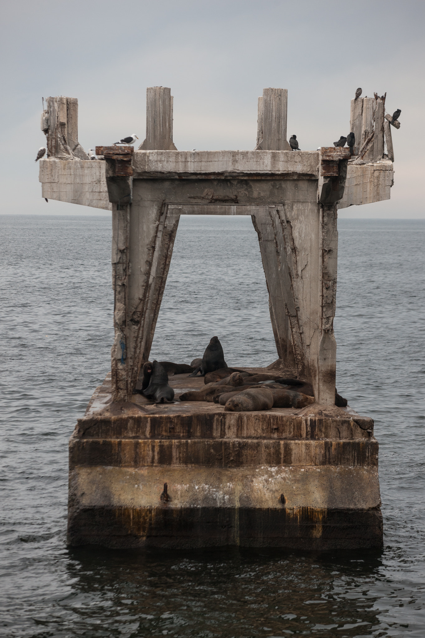 Canon EOS-1Ds Mark III sample photo. Symmetry photography