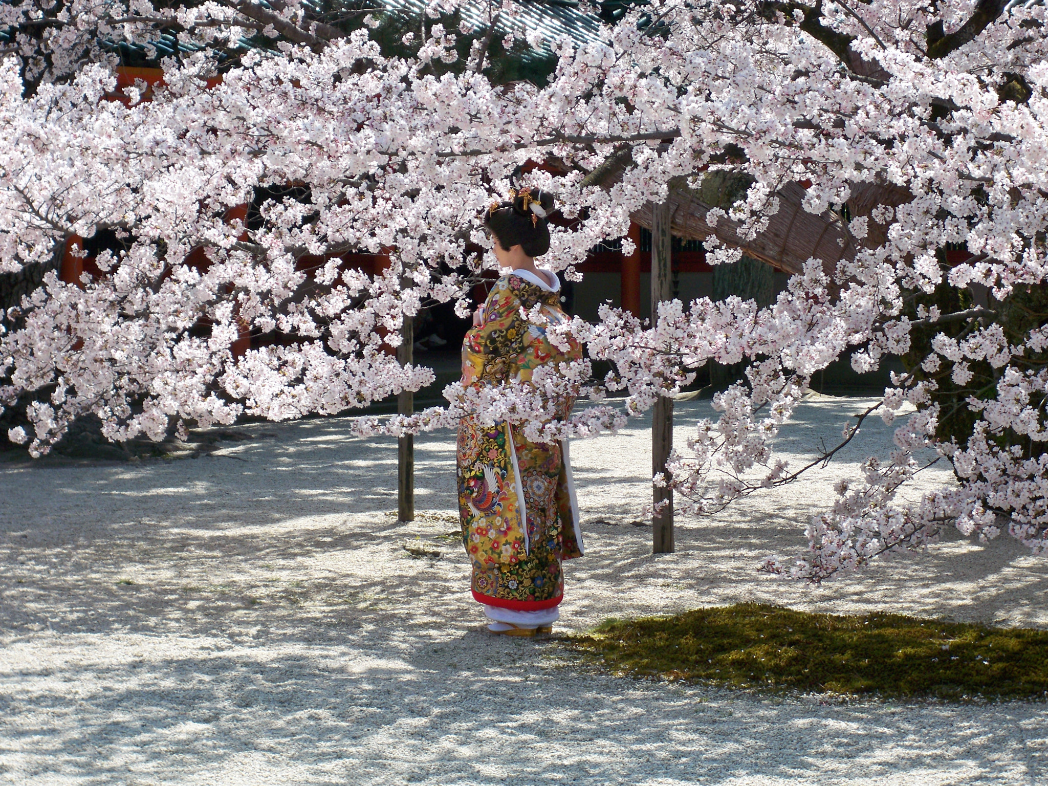 Kodak EasyShare M1033 sample photo. Japanese at heian temple in kyoto, japan photography