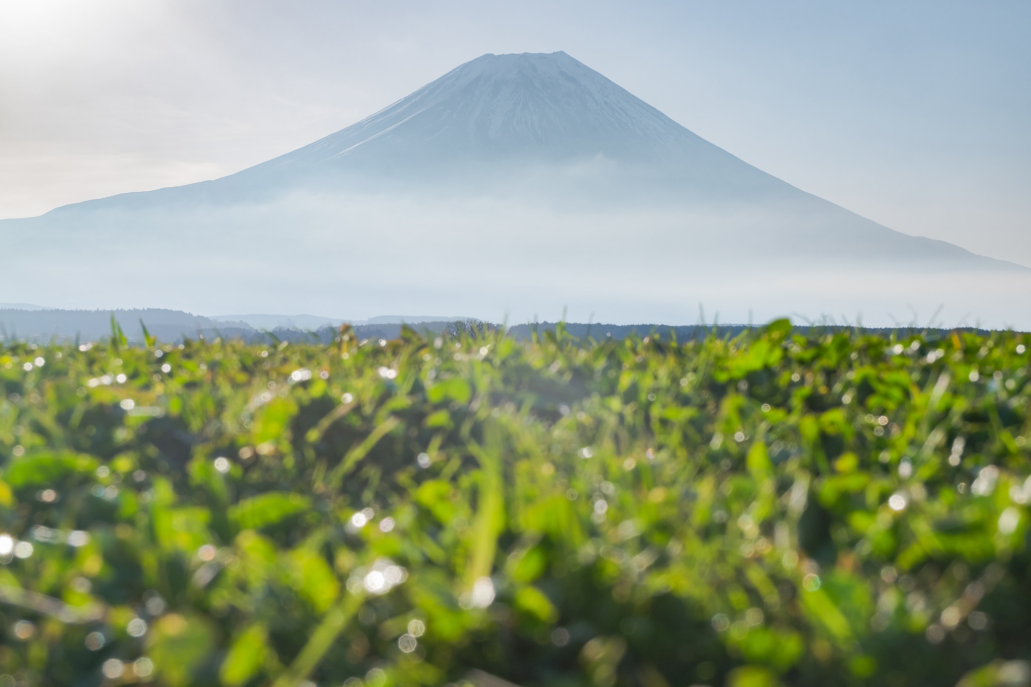 Fujifilm XC 16-50mm F3.5-5.6 OIS II sample photo. Mount fuji photography