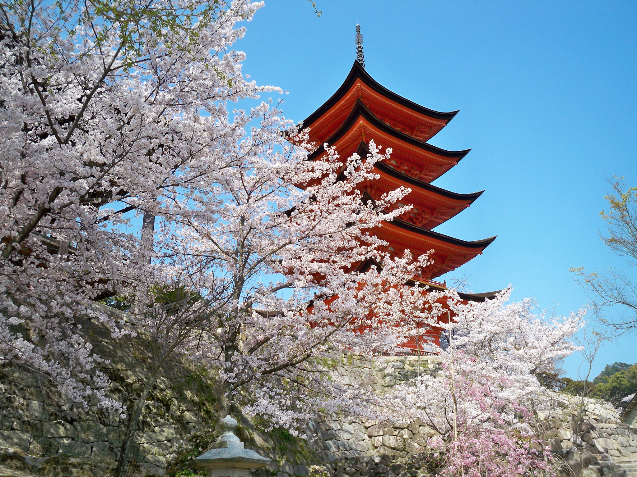 Kodak EasyShare M1033 sample photo. Itsukushima shrine in miyajima, japan photography