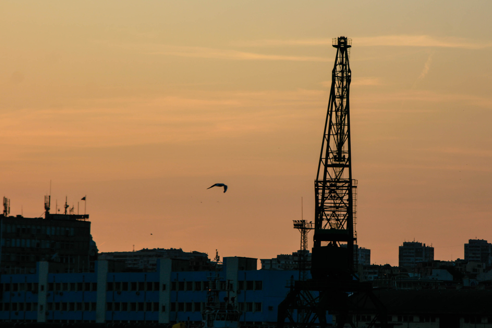 Canon EF 28-105mm F4.0-5.6 USM sample photo. In the sky photography