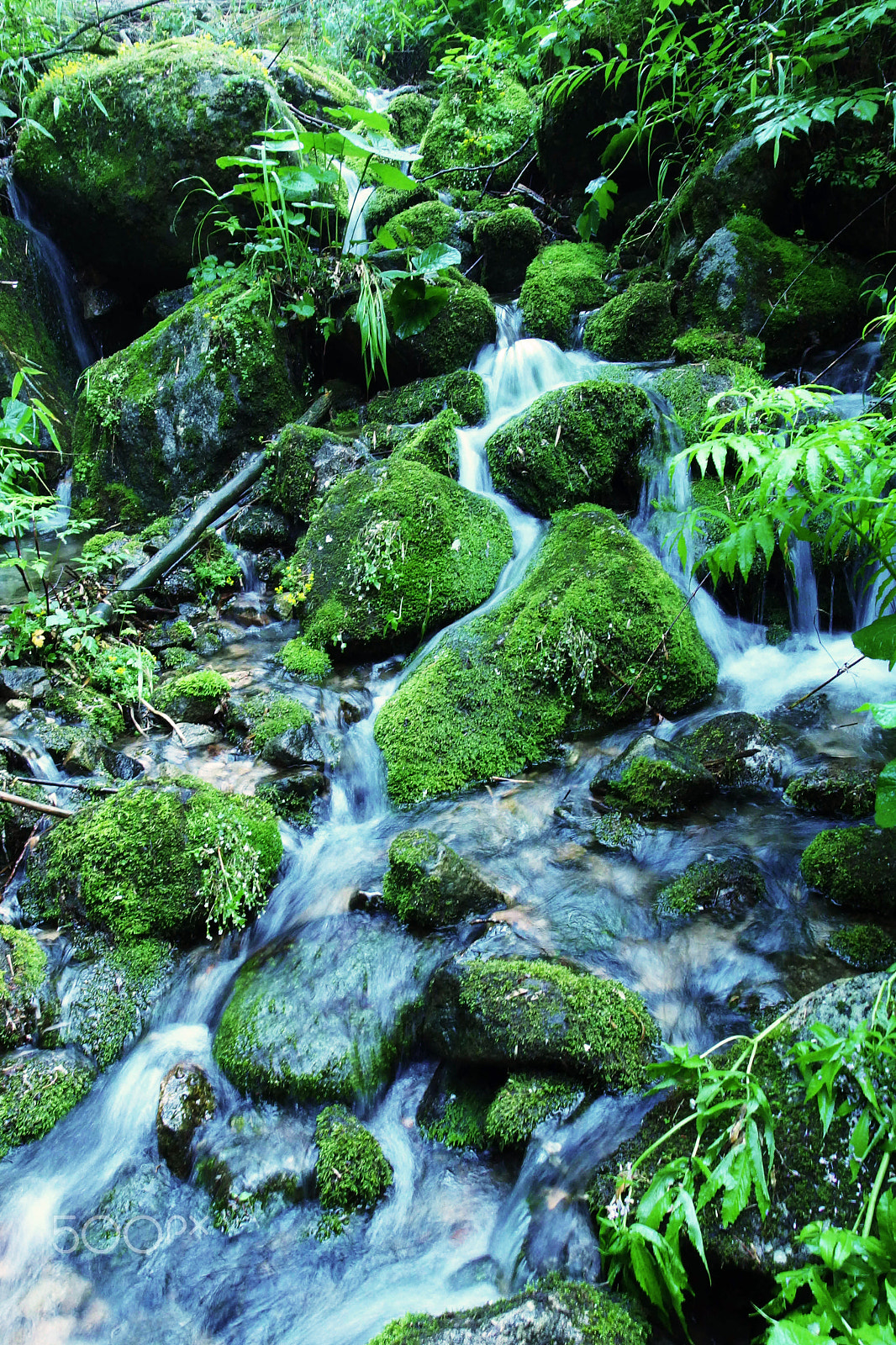 PENTAX RICOH IMAGING PENTAX MX-1 sample photo. Hiking in taibai mount photography