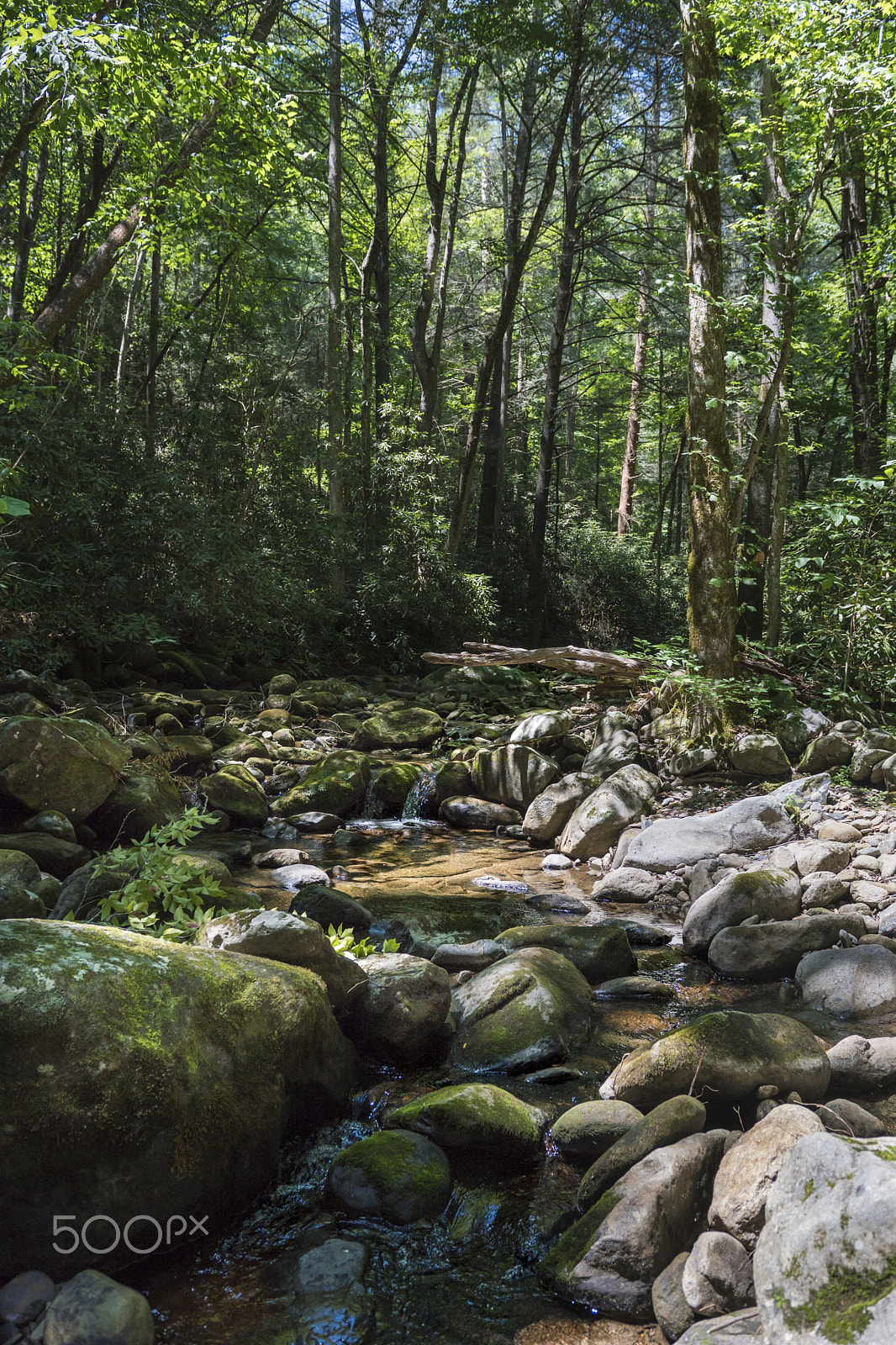 Sony a6300 + 18-35mm F1.8 DC HSM | Art 013 sample photo. Emery creek photography