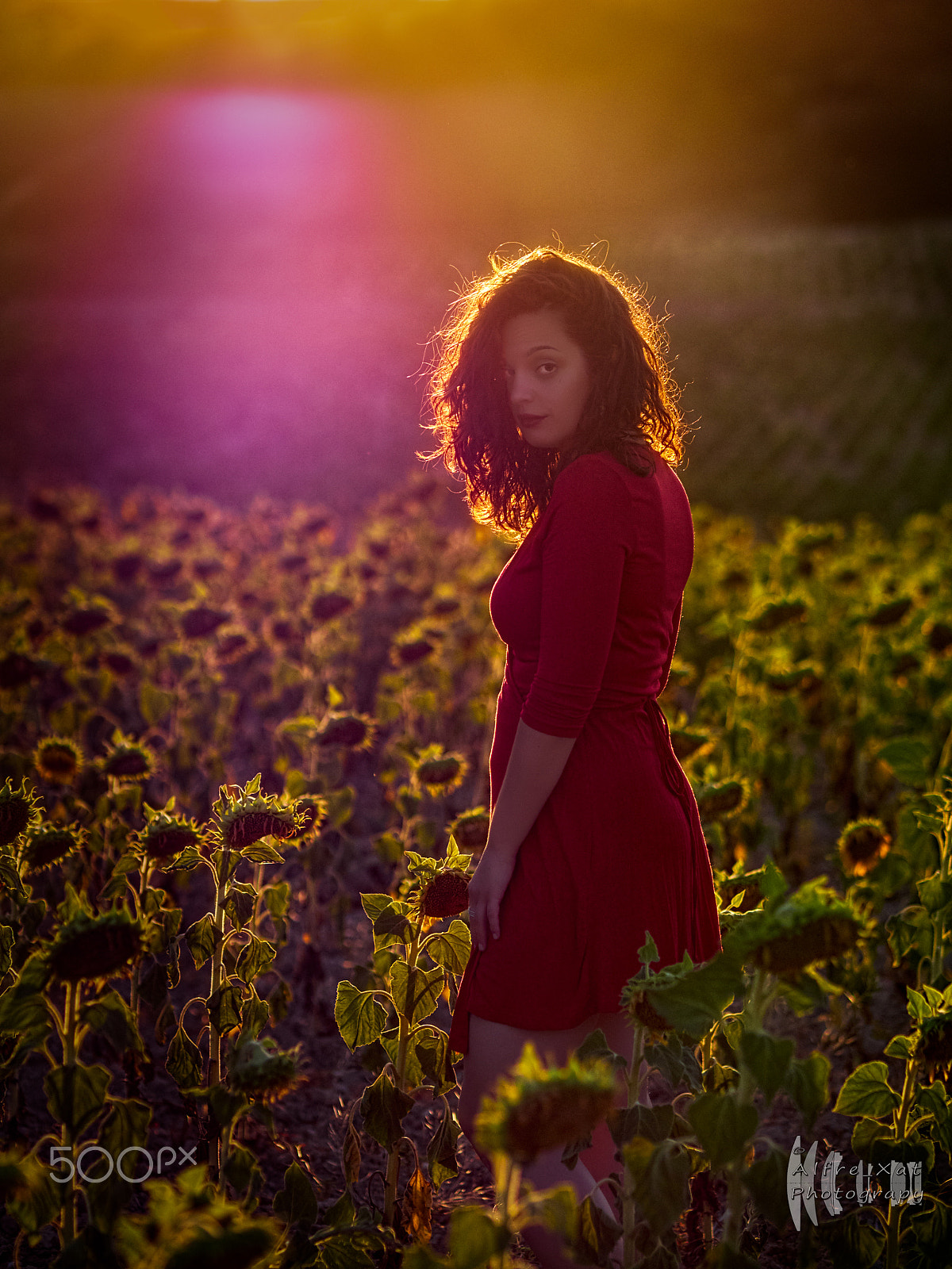 Olympus OM-D E-M1 + Olympus M.Zuiko Digital ED 75mm F1.8 sample photo. The woman in red ii photography