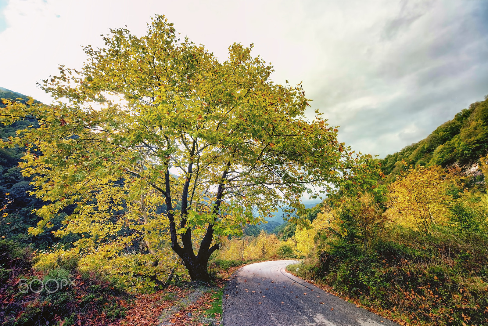 Nikon D800E + Sigma 12-24mm F4.5-5.6 EX DG Aspherical HSM sample photo. Sonbahar renkleri (autumn colors) photography