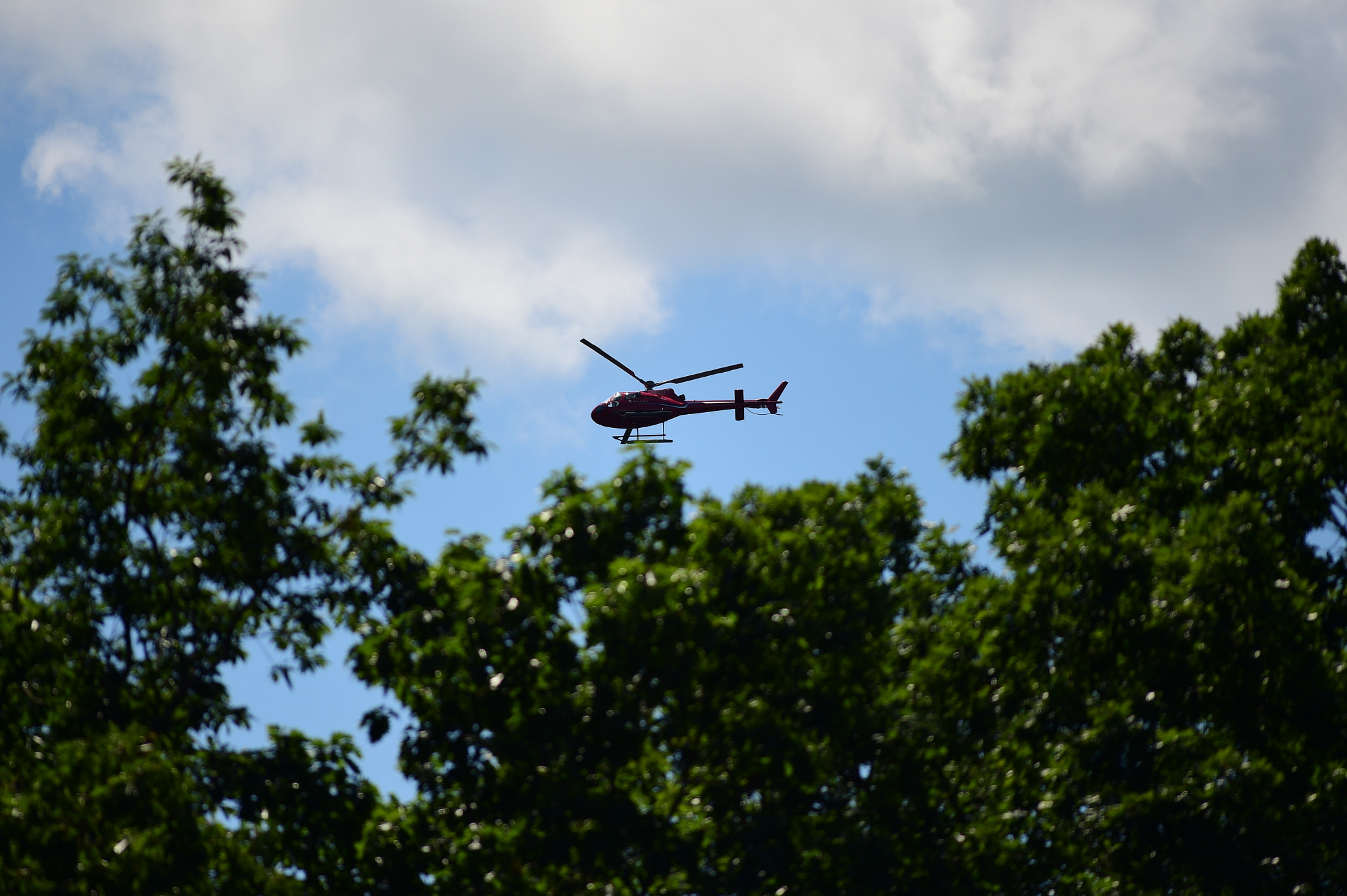 Tokina AT-X 304 AF (AF 300mm f/4.0) sample photo. Helicopter in the wild photography