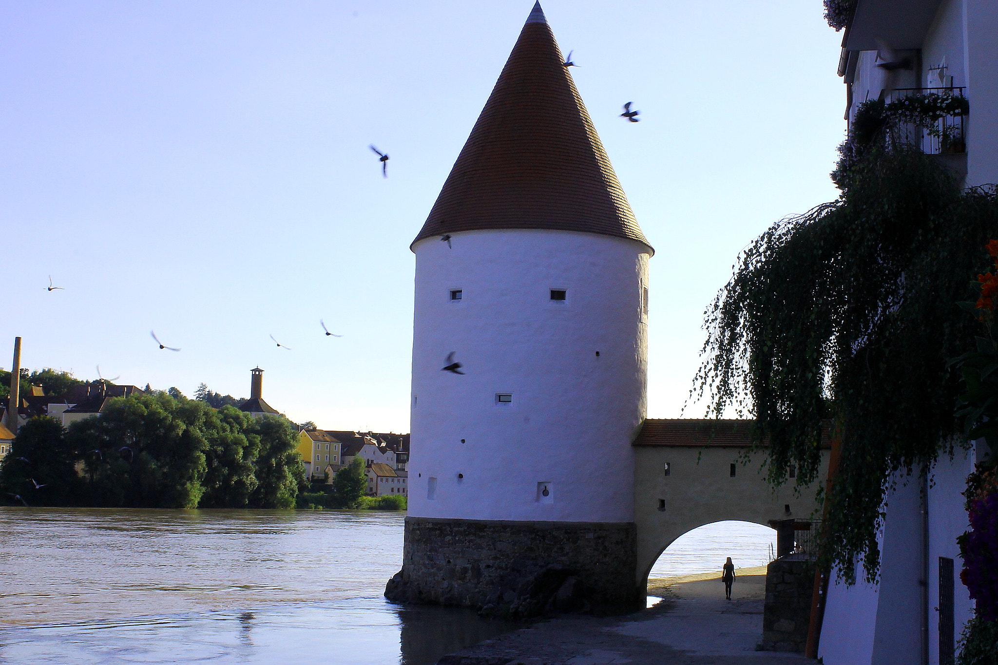 Canon EF-S 18-55mm F3.5-5.6 IS II sample photo. Donau photography