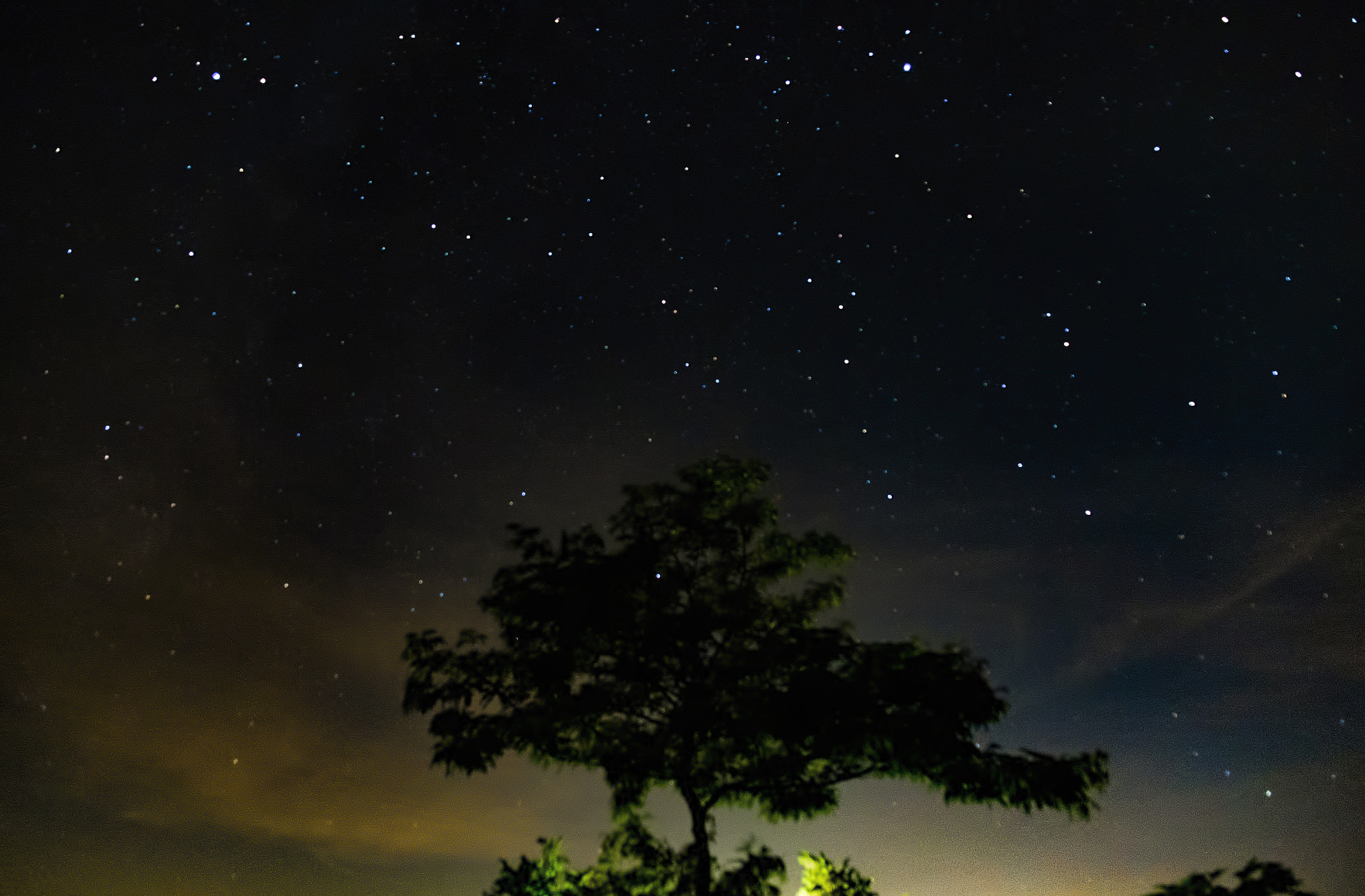 Fujifilm X-E1 + Fujifilm XF 18-135mm F3.5-5.6 R LM OIS WR sample photo. Stars and a tree photography