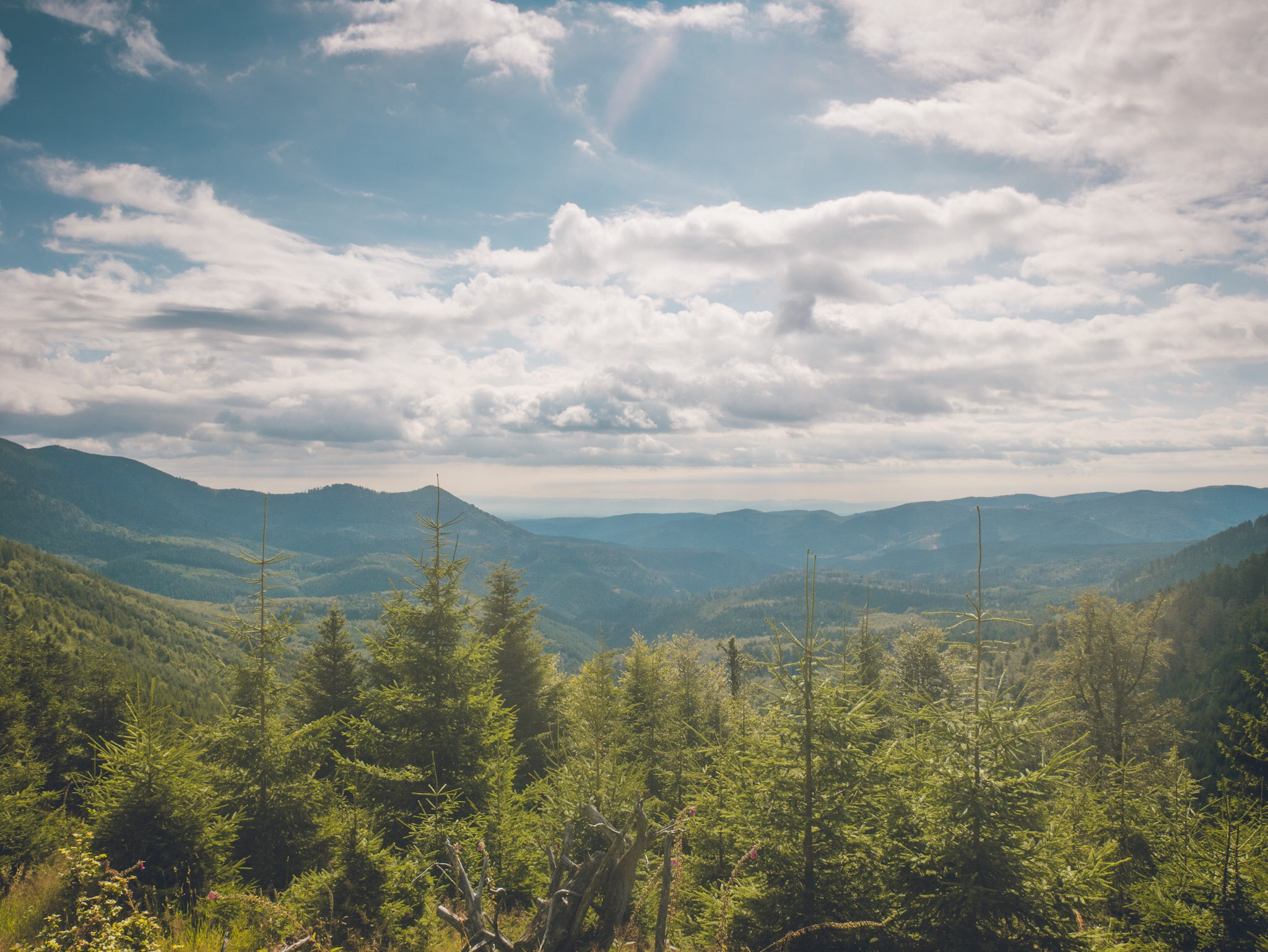 Panasonic DMC-G70 sample photo. Vosges mountains photography