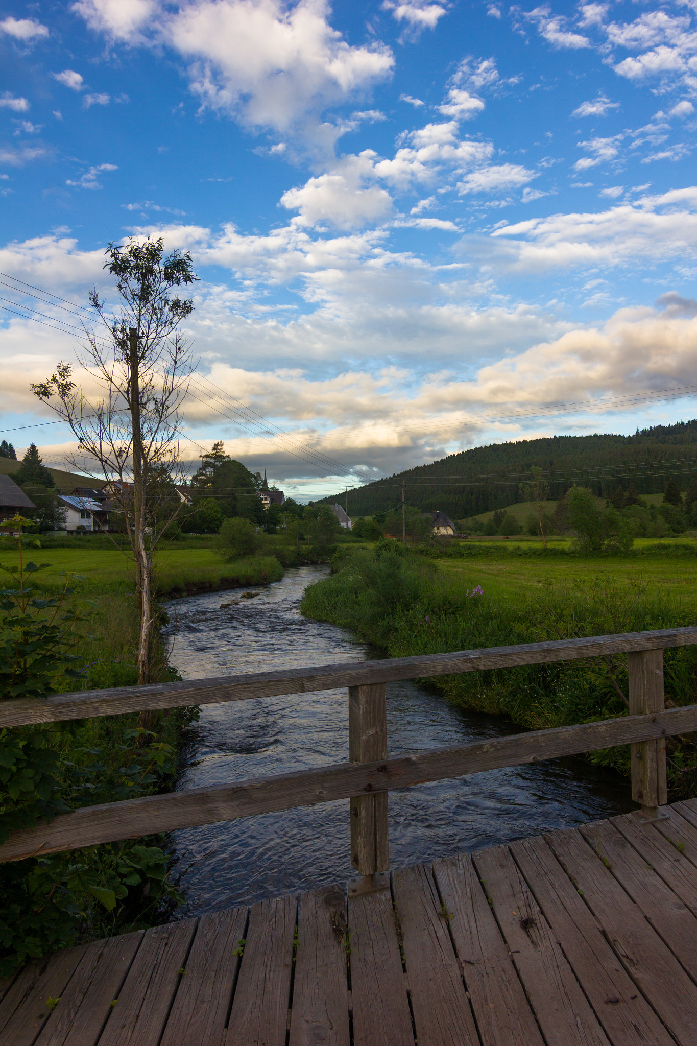 Canon EOS 550D (EOS Rebel T2i / EOS Kiss X4) sample photo. Downstream photography