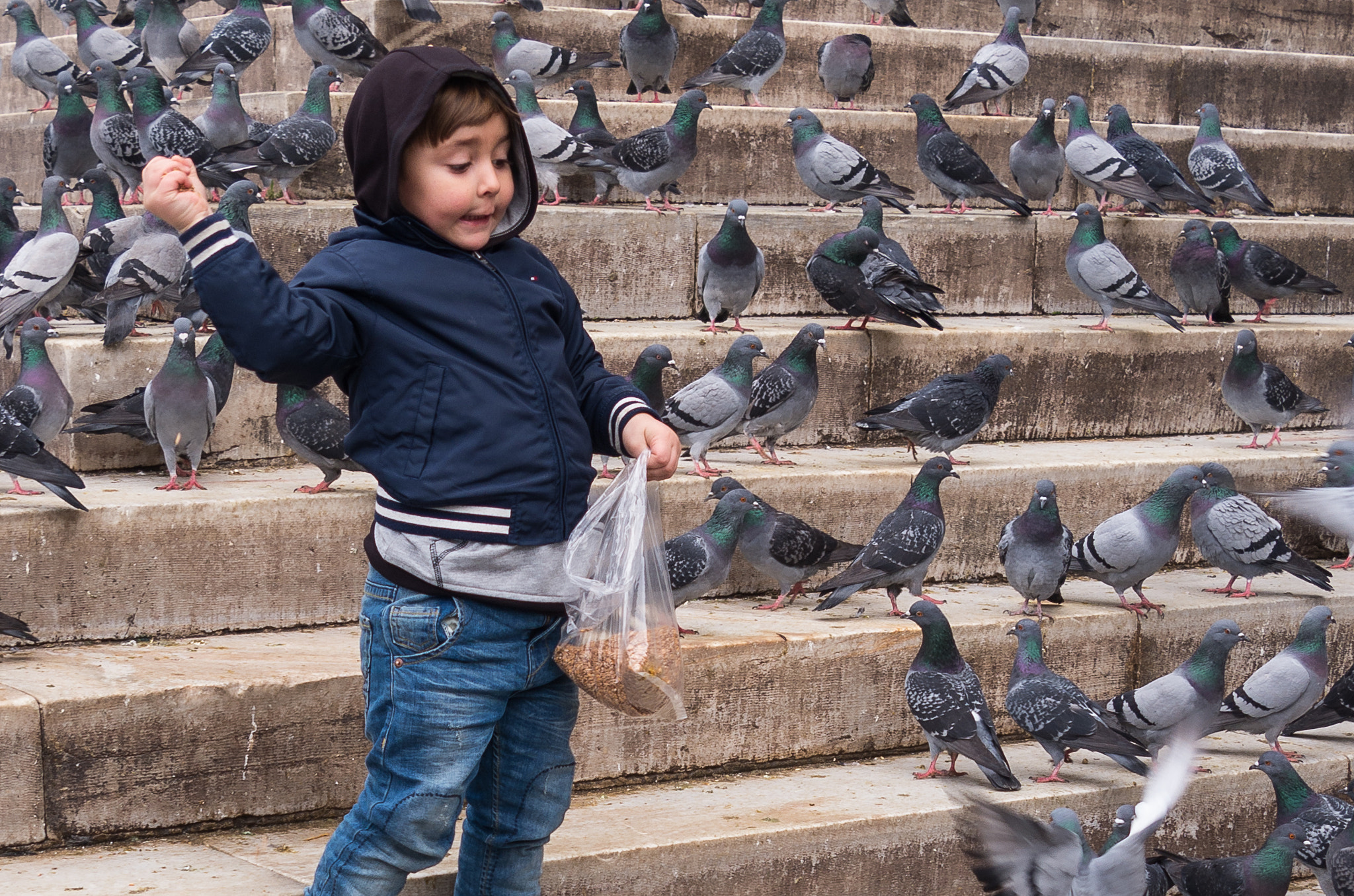 smc PENTAX-F 24-50mm F4 sample photo. Pigeon feeder photography