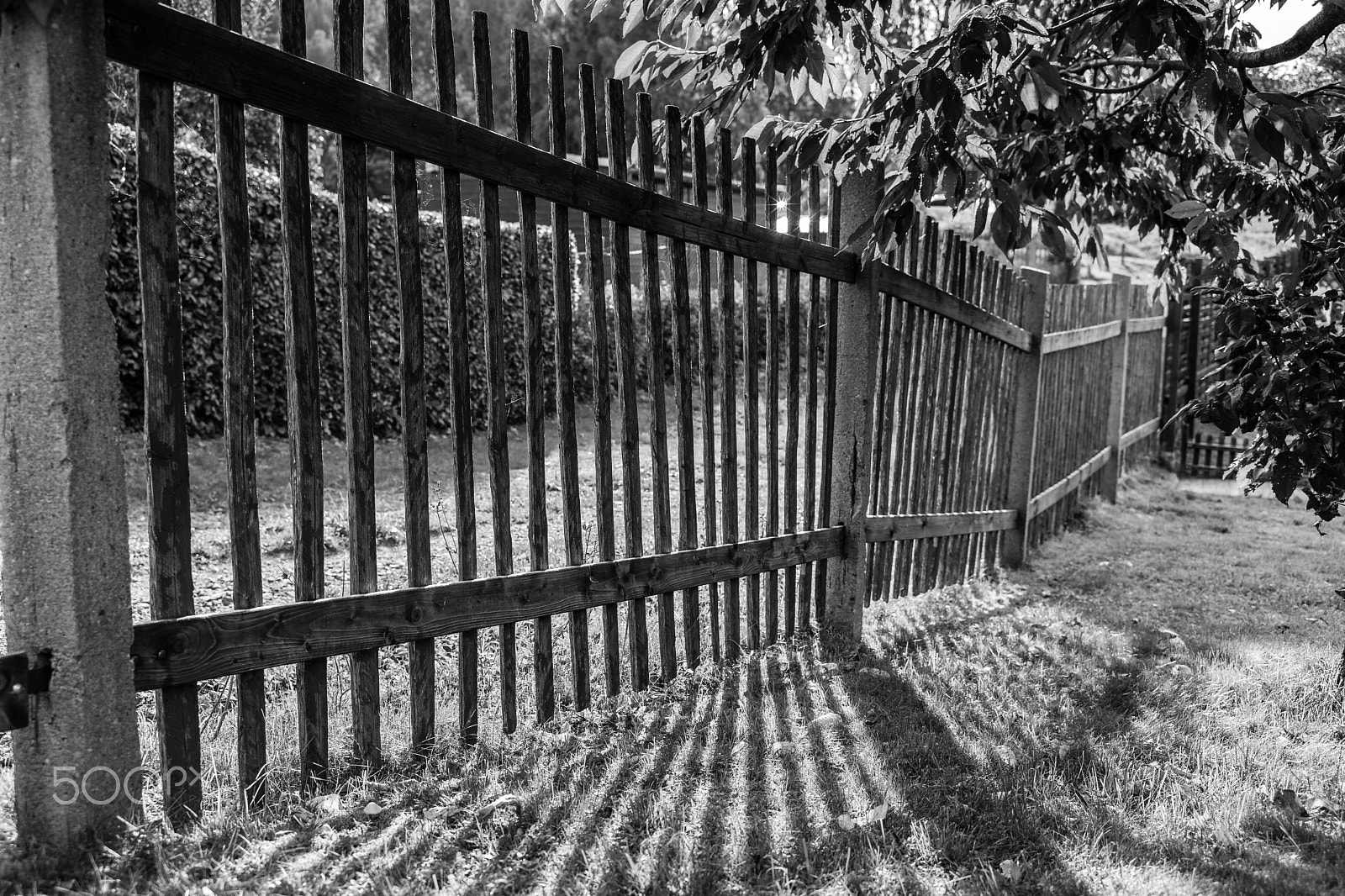 Sony a7 + E 35mm F2 sample photo. Fence photography