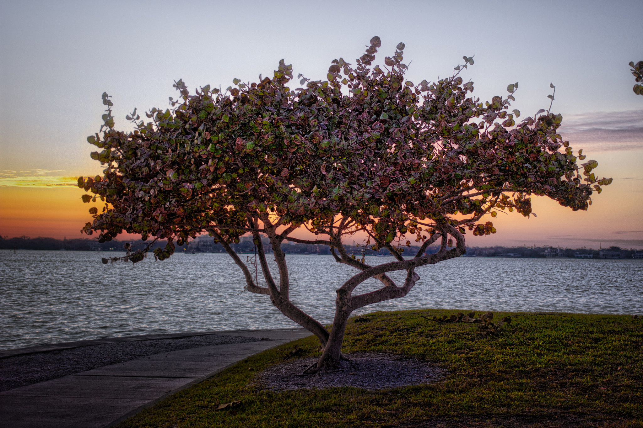Canon EF 40mm F2.8 STM sample photo. Sarasota bay photography