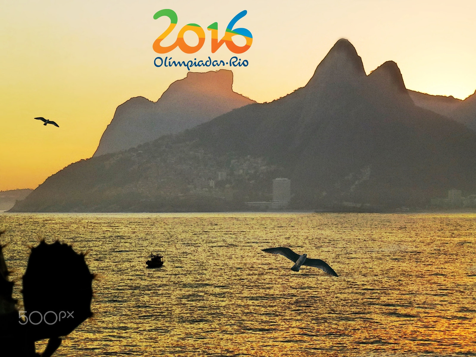 Panasonic DMC-ZS10 sample photo. Rio 2016 photography