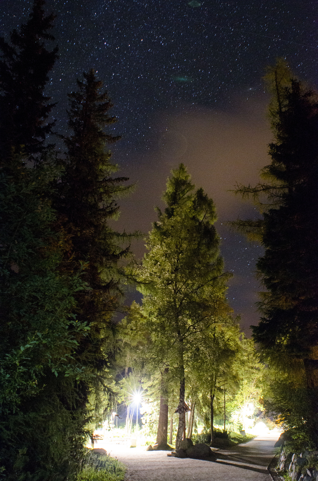 Nikon D7000 + Nikon AF Nikkor 20mm F2.8D sample photo. Dreaming is believing photography