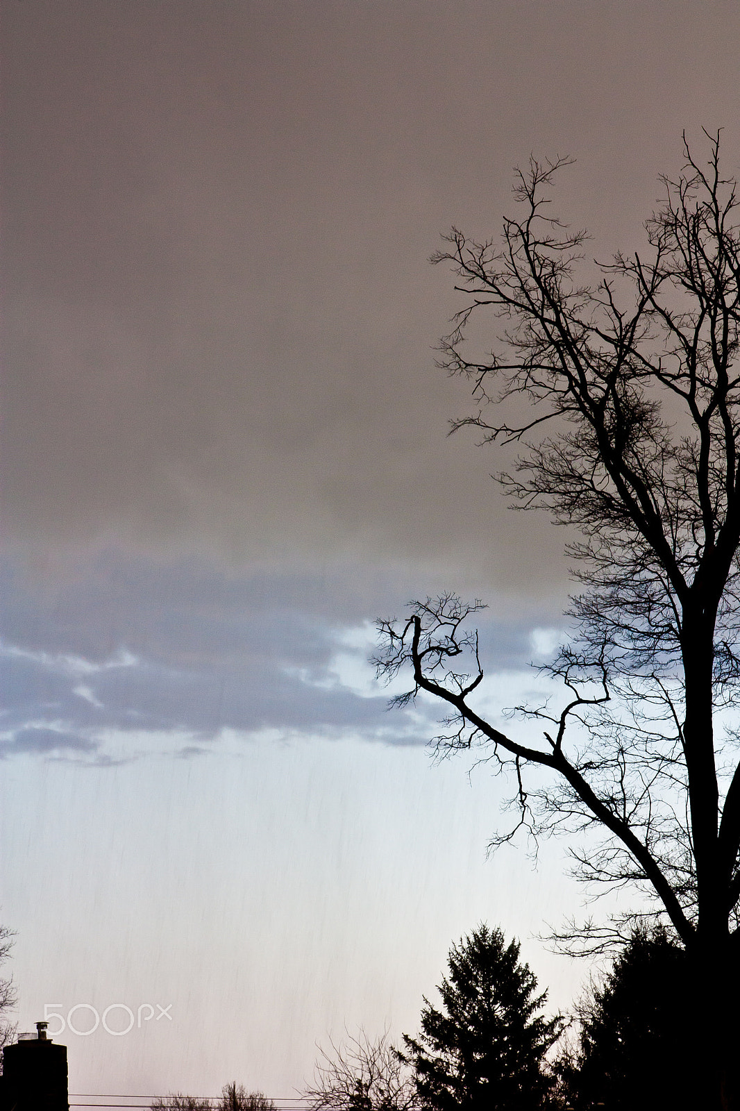 Canon EOS 450D (EOS Rebel XSi / EOS Kiss X2) sample photo. Storm cloud photography