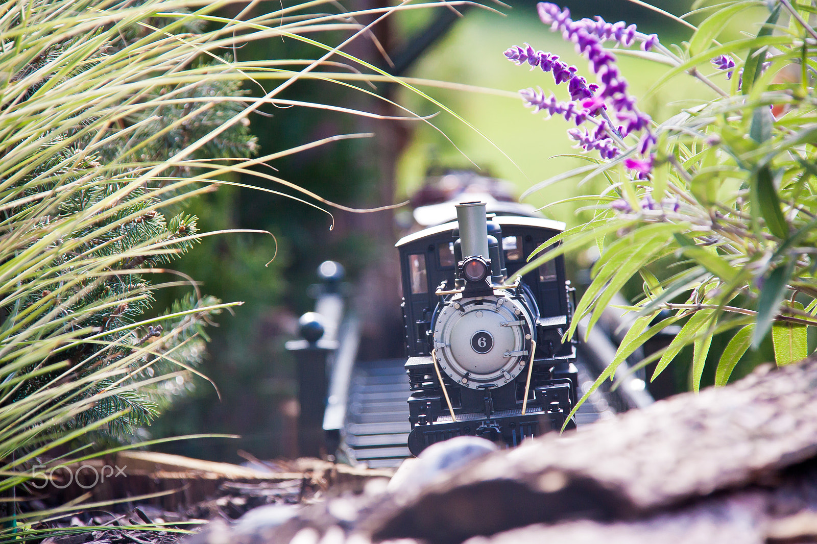 Canon EOS 450D (EOS Rebel XSi / EOS Kiss X2) sample photo. Train engine photography