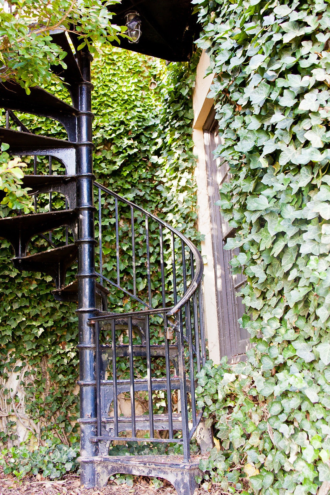 Canon EOS 450D (EOS Rebel XSi / EOS Kiss X2) sample photo. Stairway photography