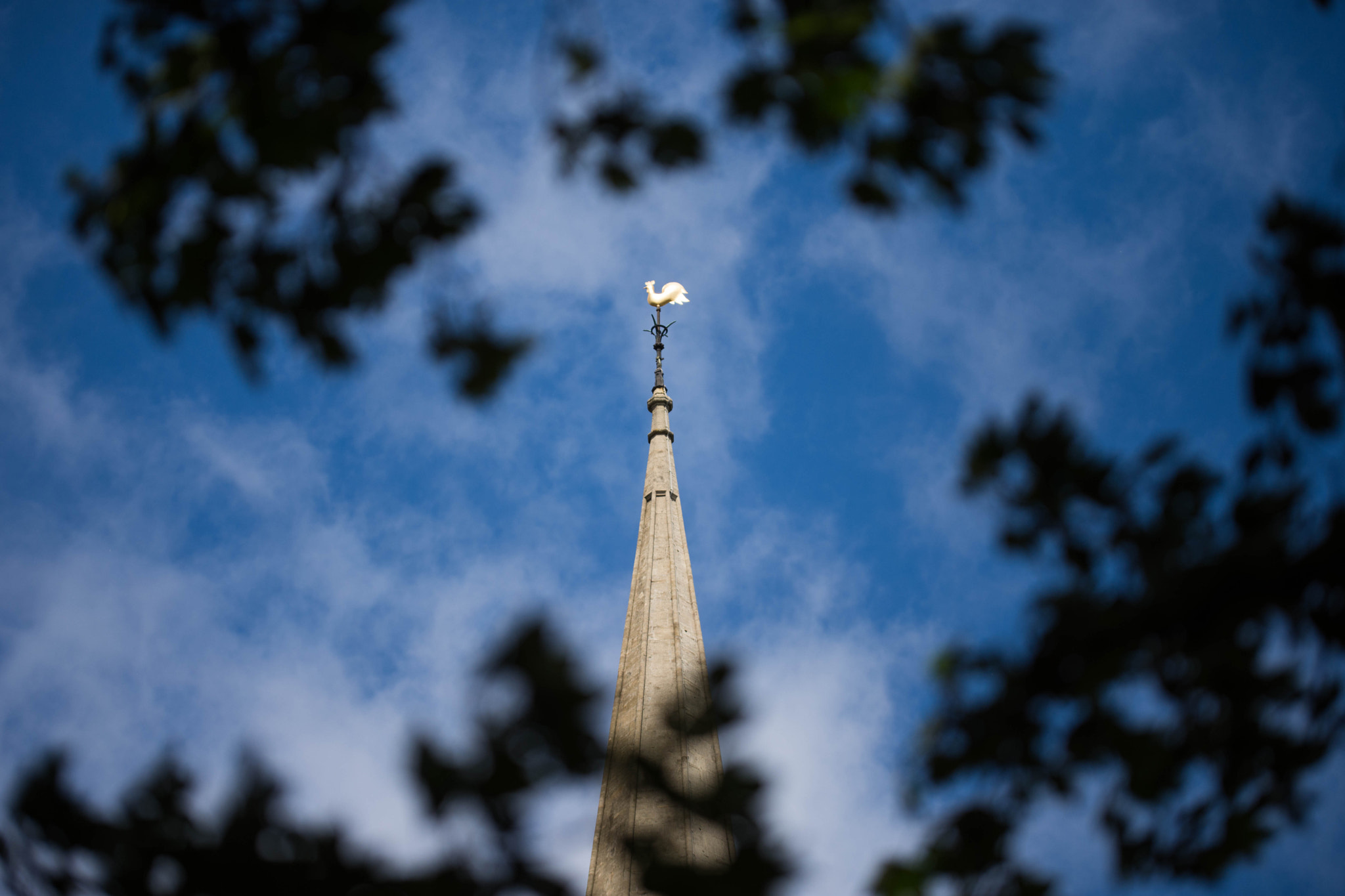 Nikon D7200 + Sigma 50-100mm F1.8 DC HSM Art sample photo. That is called bird's eye view photography