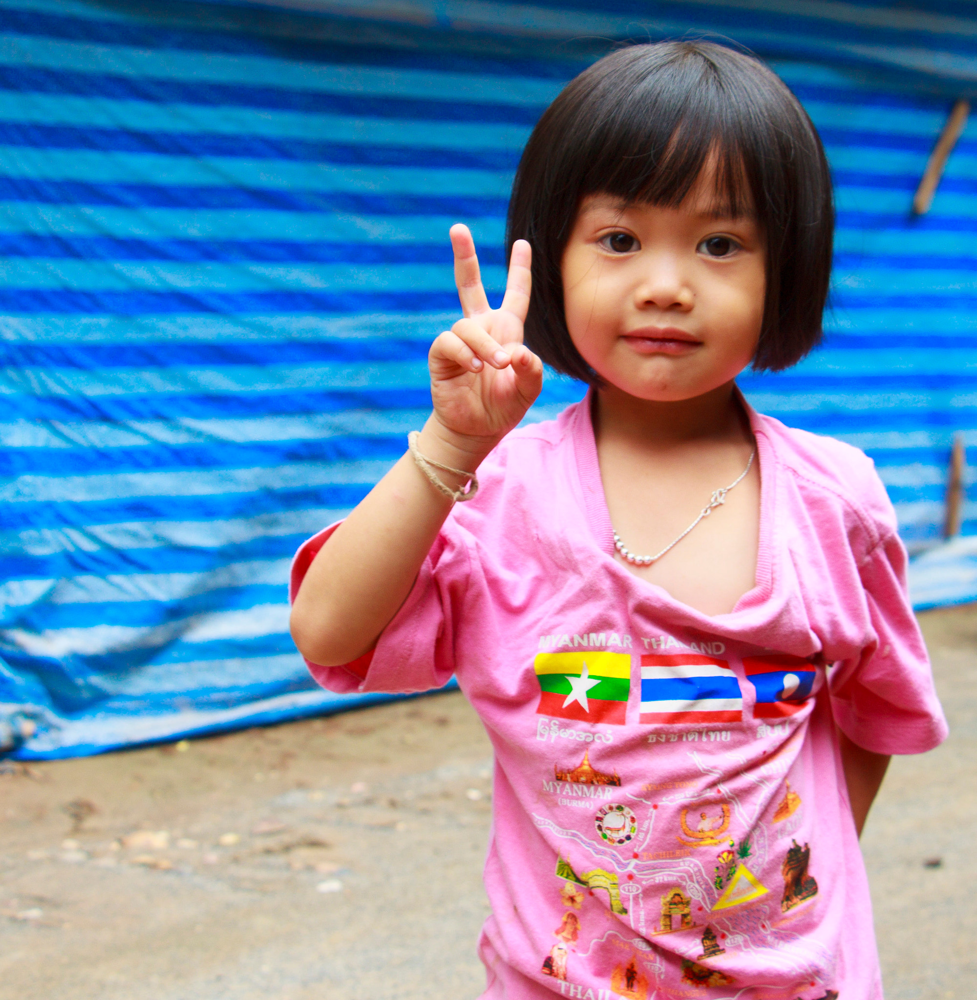 Canon EOS 500D (EOS Rebel T1i / EOS Kiss X3) sample photo. Victory photography