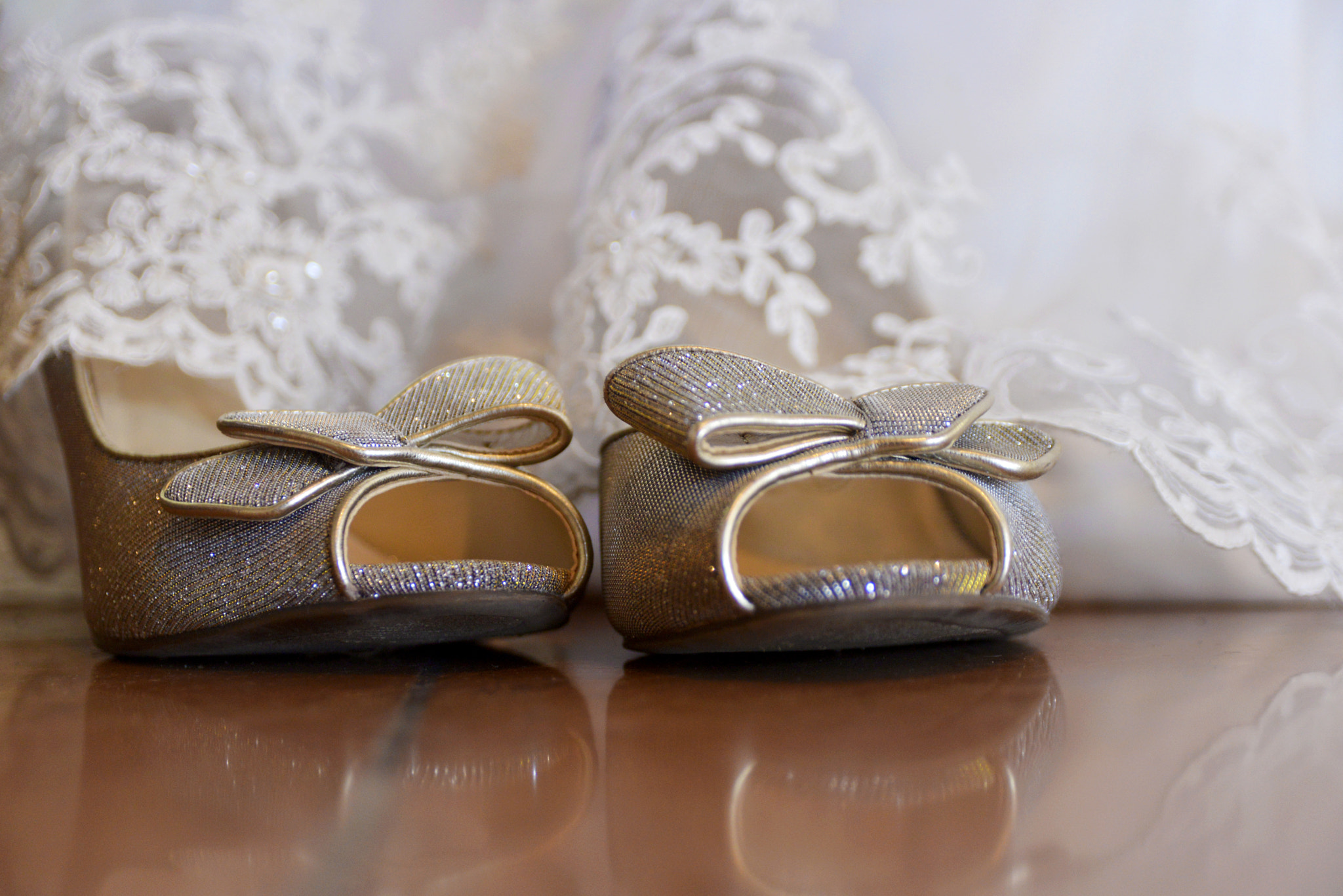 AF Zoom-Nikkor 28-105mm f/3.5-4.5D IF sample photo. Cinderella... photography