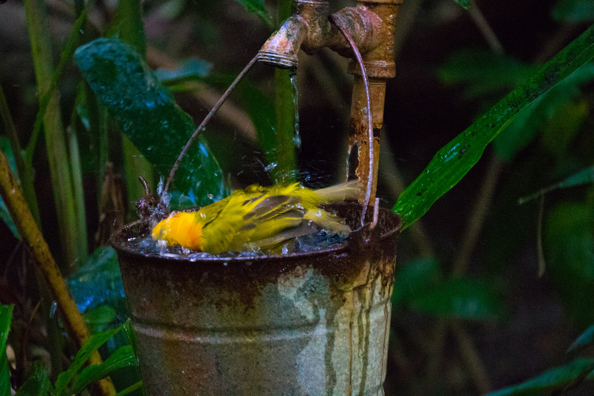 Sony a7 + Sony E 55-210mm F4.5-6.3 OSS sample photo
