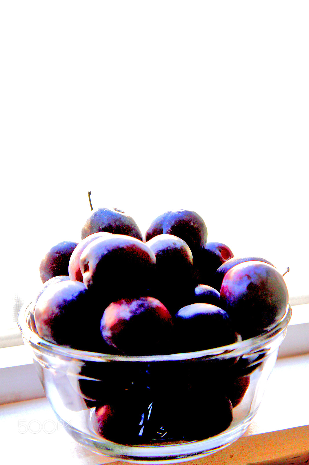 Canon EF-S 17-55mm F2.8 IS USM sample photo. A pride of plums img_3778d photography
