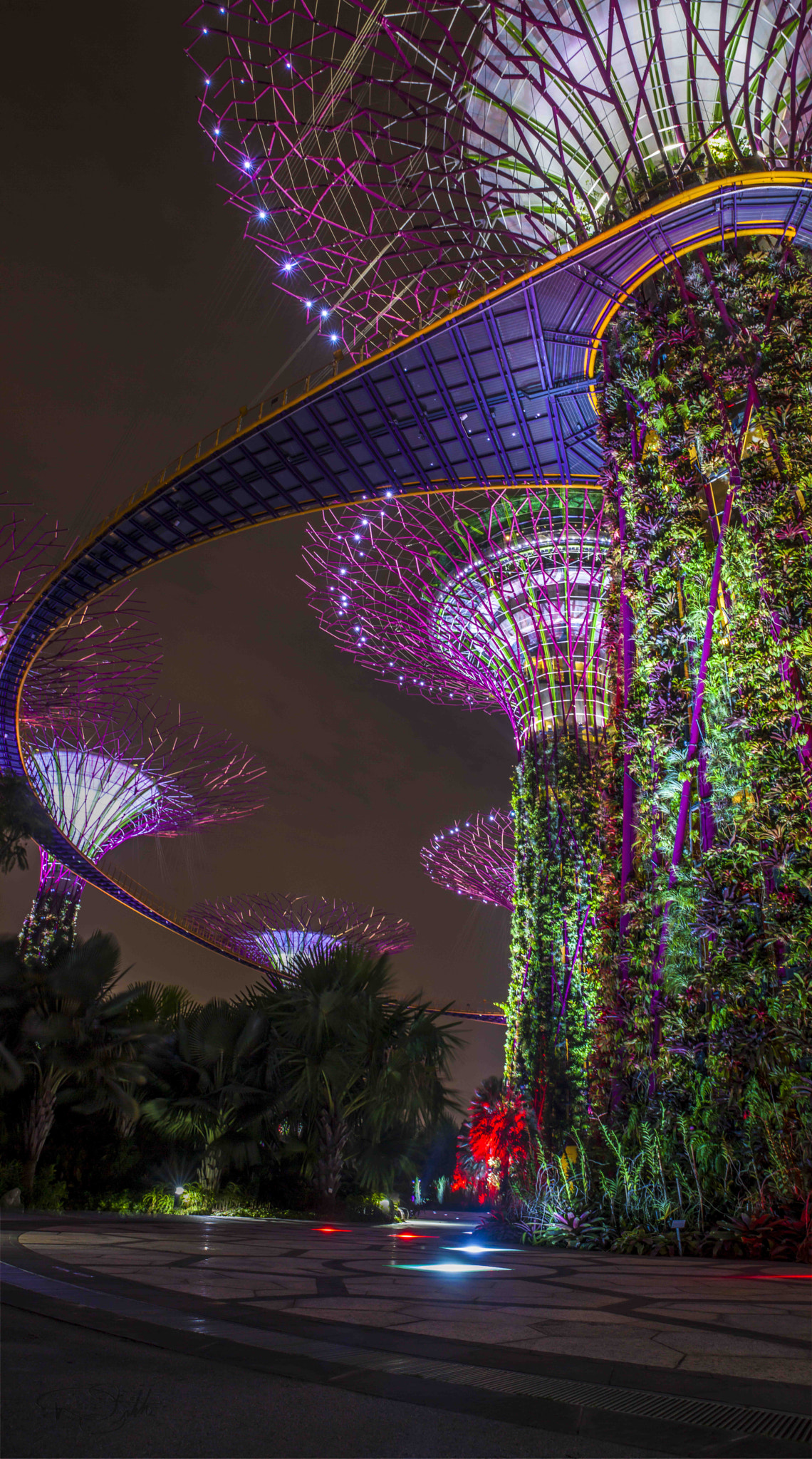 Singapore Eco Trees