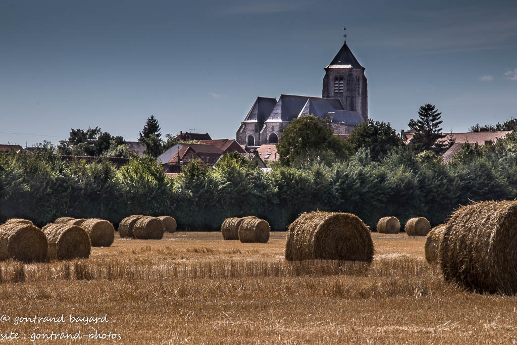 Sigma 18-250mm F3.5-6.3 DC OS HSM sample photo. () photography