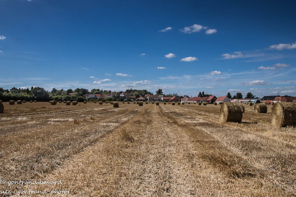 Sigma 18-250mm F3.5-6.3 DC OS HSM sample photo. () photography