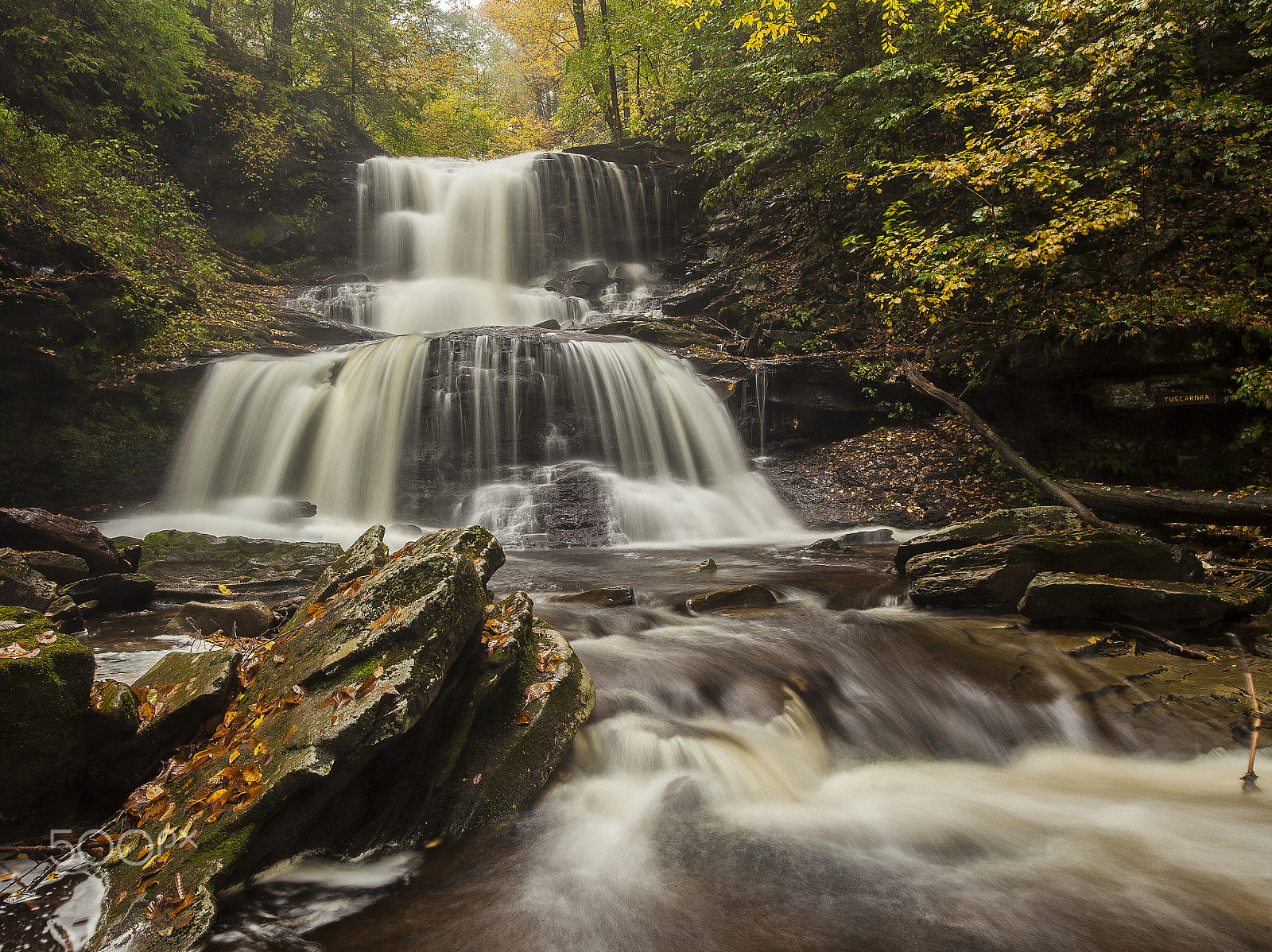 Canon EOS 5D Mark II + ZEISS Distagon T* 21mm F2.8 sample photo. Ricketts glen state park photography