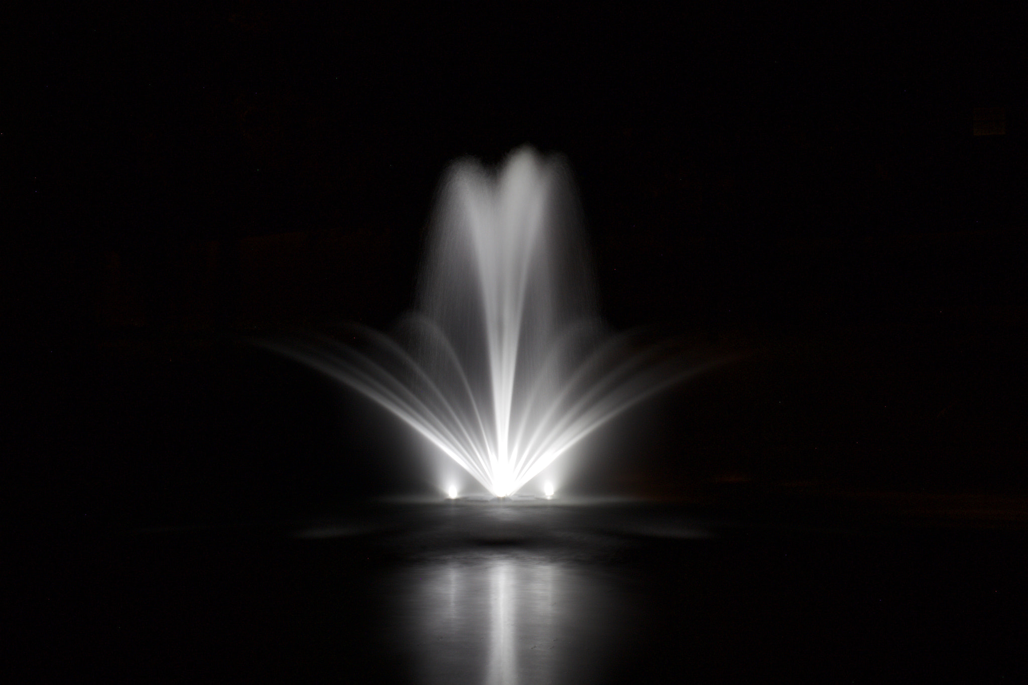 Canon EF 50mm F2.5 Macro sample photo. Water fountain in night photography