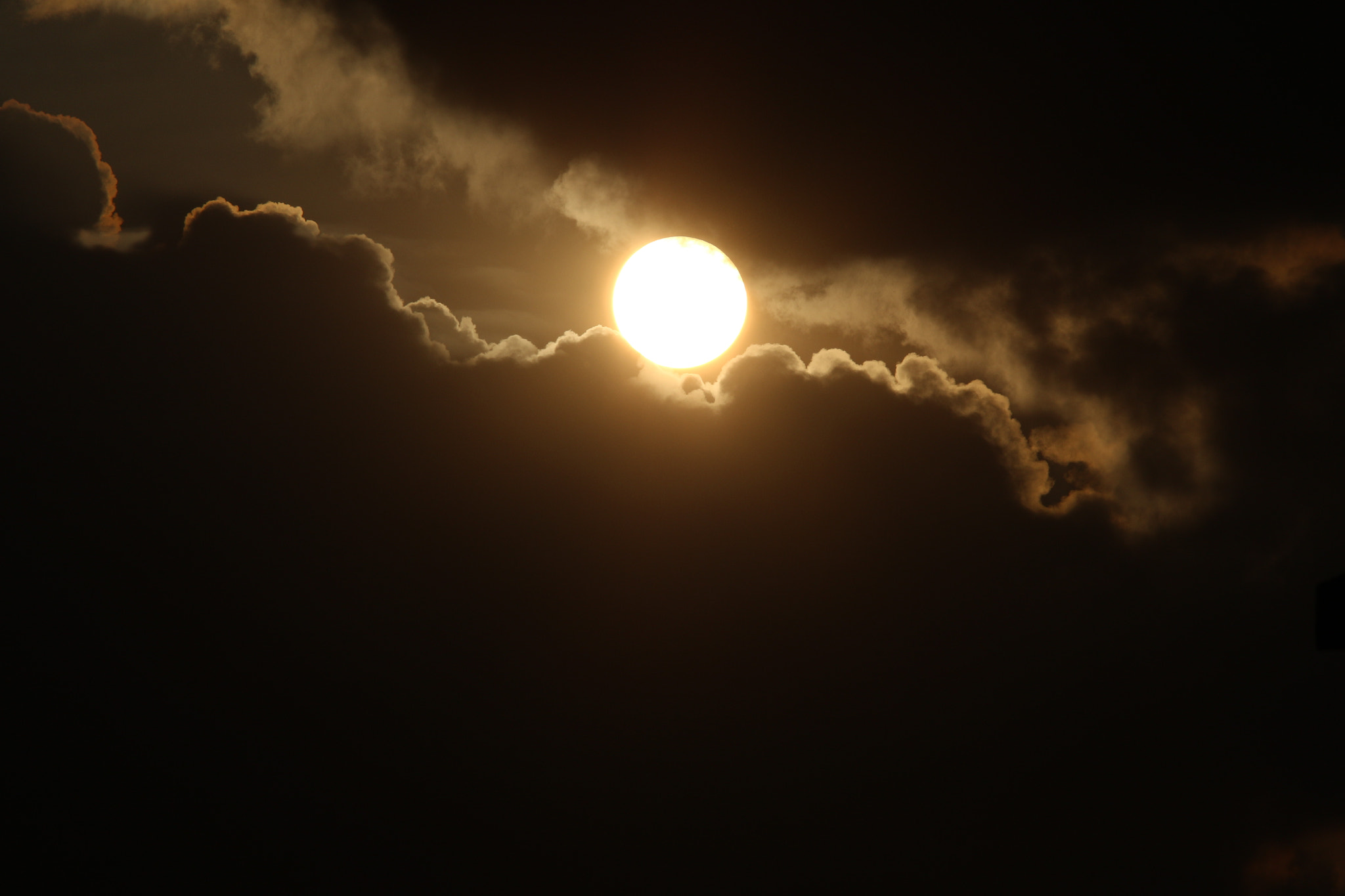 Canon EF 28-300mm F3.5-5.6L IS USM sample photo