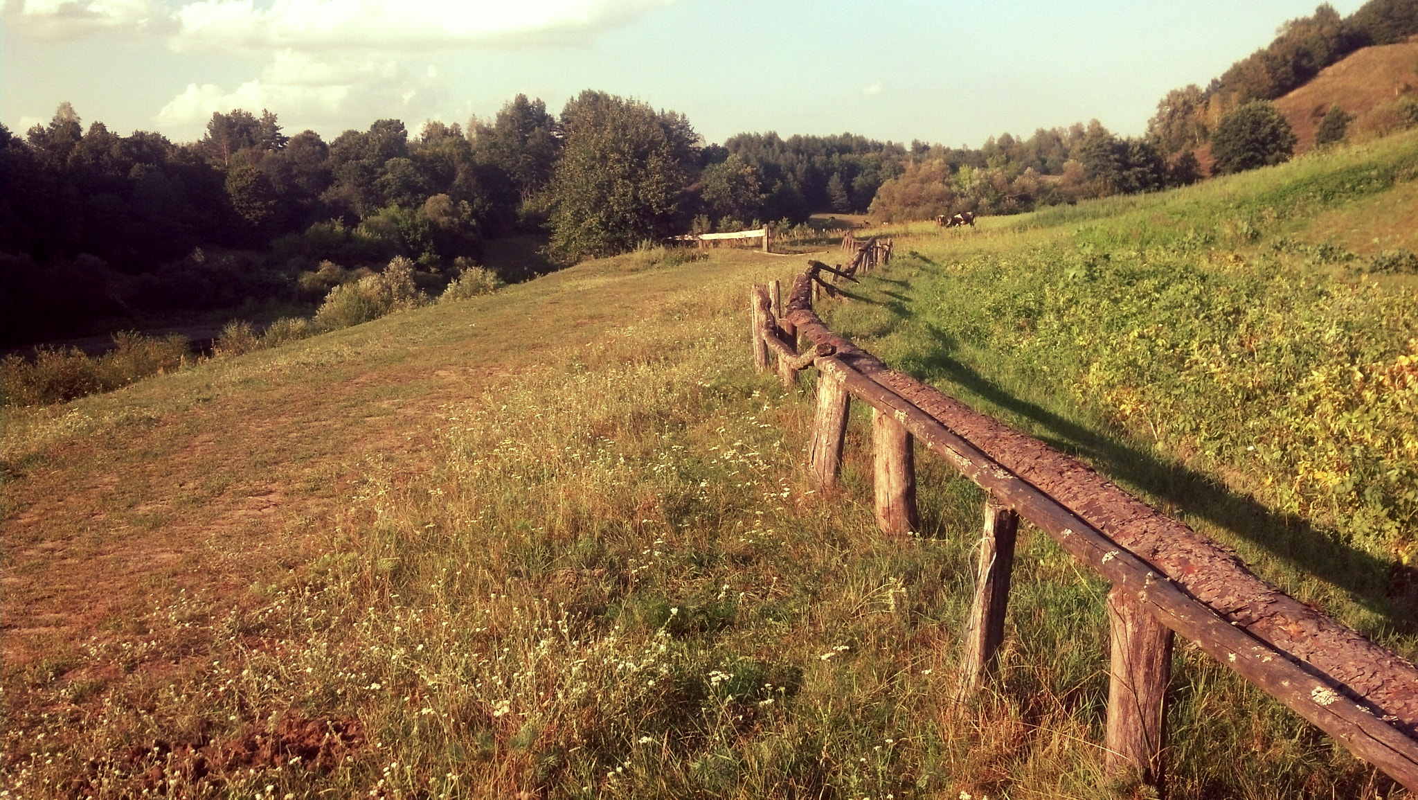 Motorola DROID RAZR sample photo