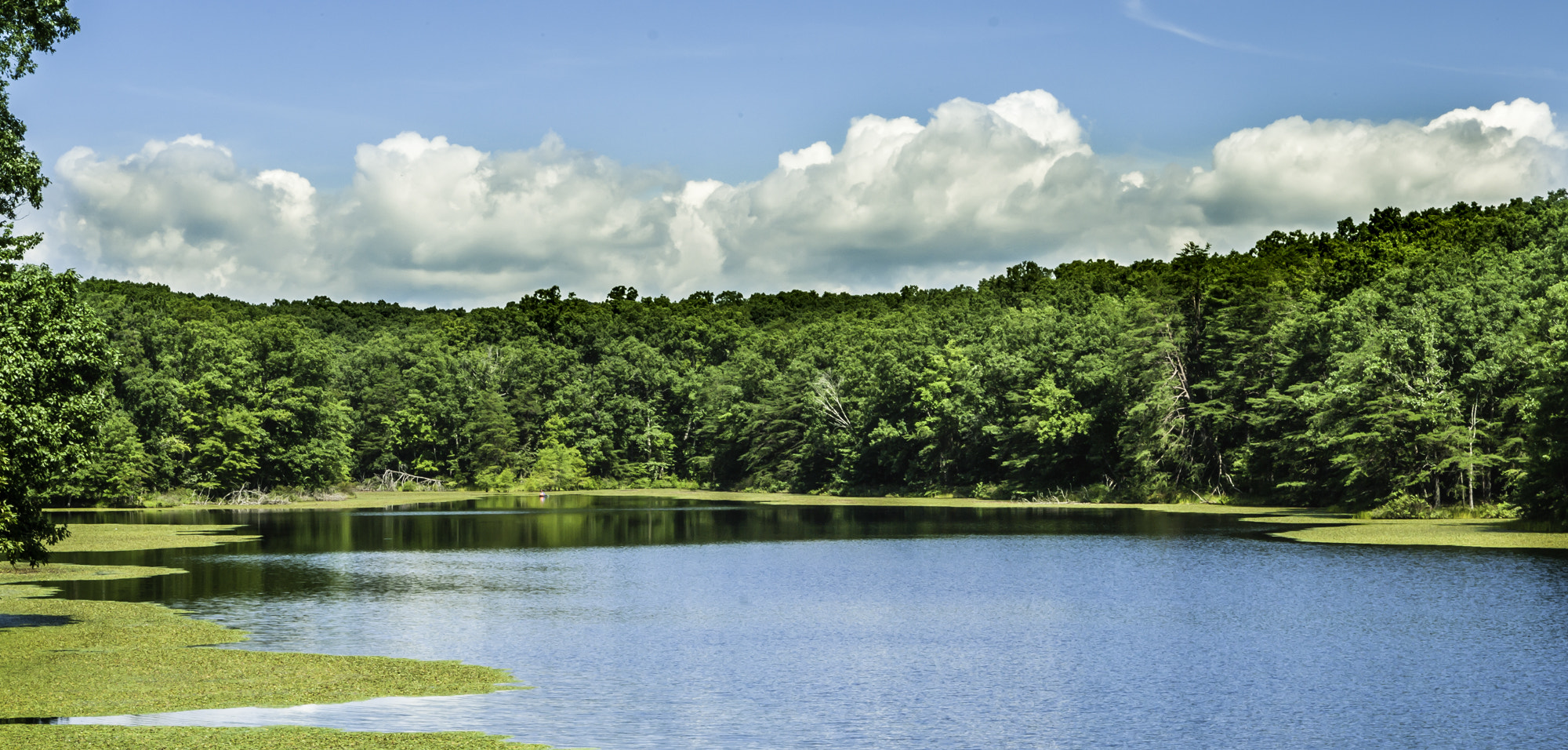 Pentax K20D sample photo. State forest photography