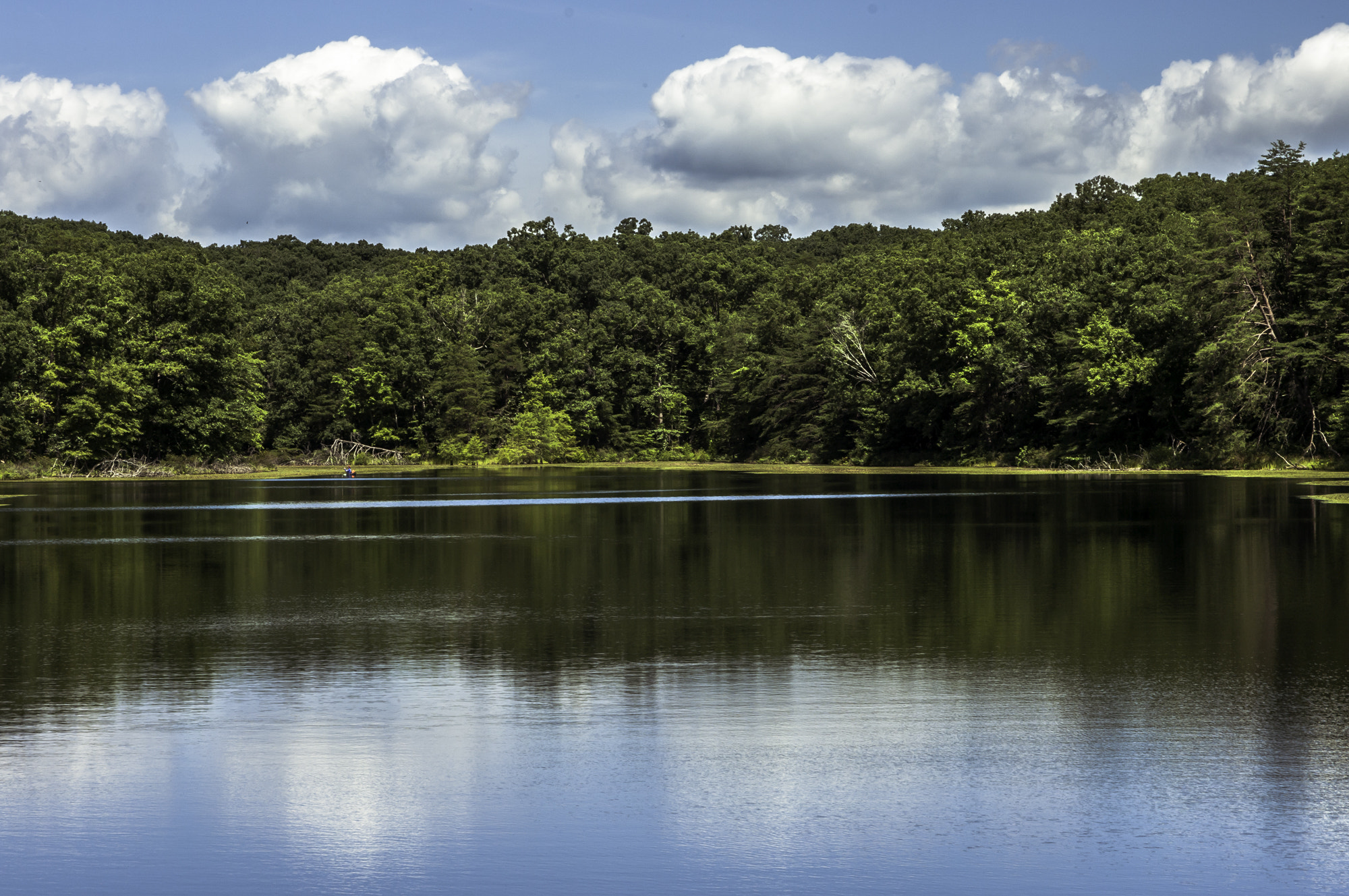 Pentax K20D sample photo. State forest photography