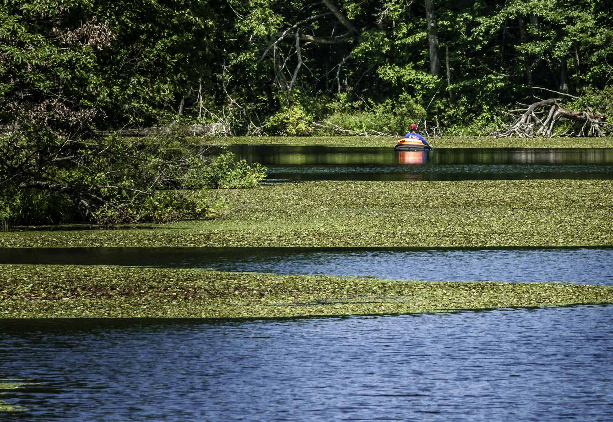 HD Pentax DA 55-300mm F4.0-5.8 ED WR sample photo. State forest photography