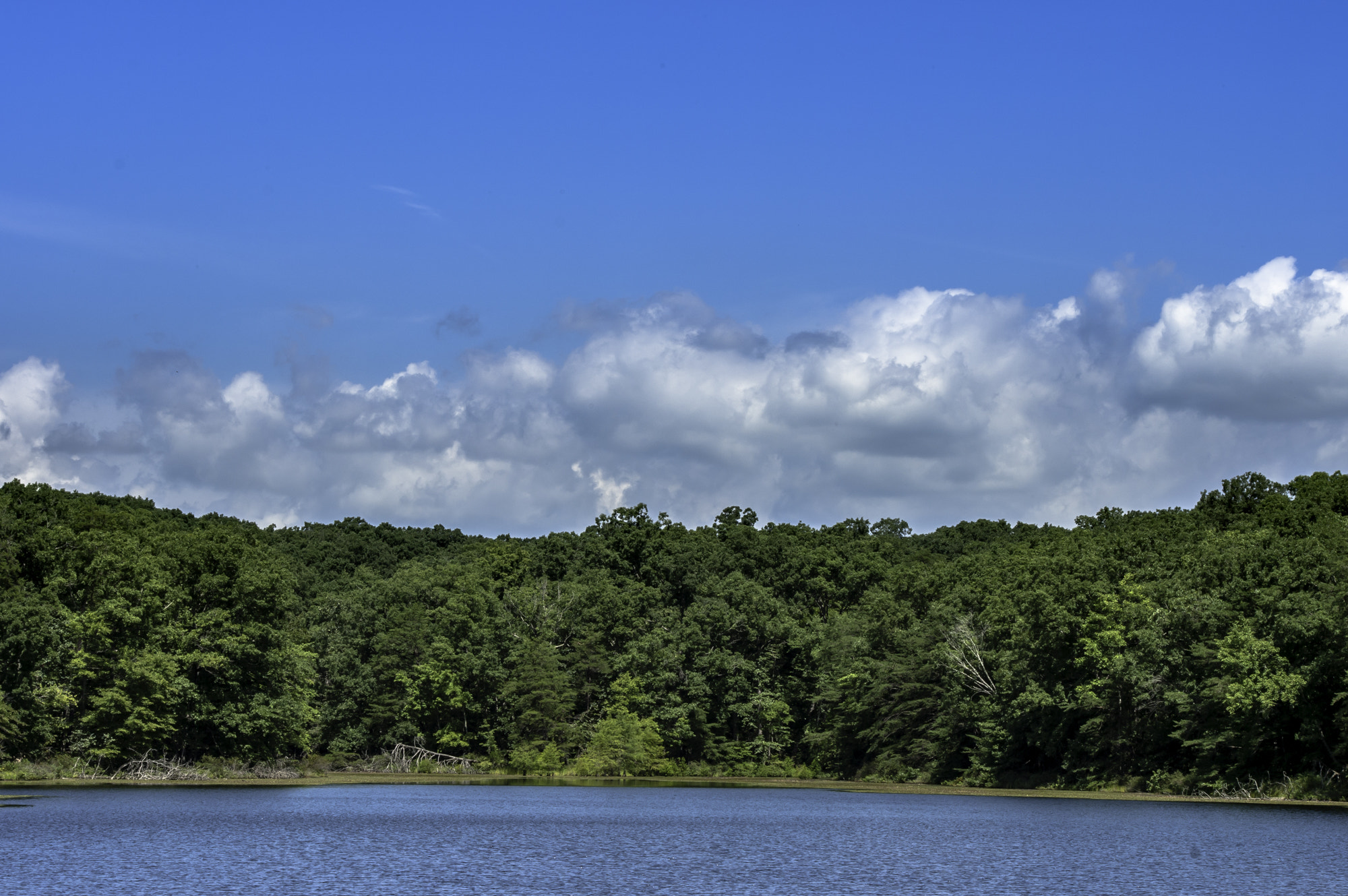 HD Pentax DA 55-300mm F4.0-5.8 ED WR sample photo. State forest photography