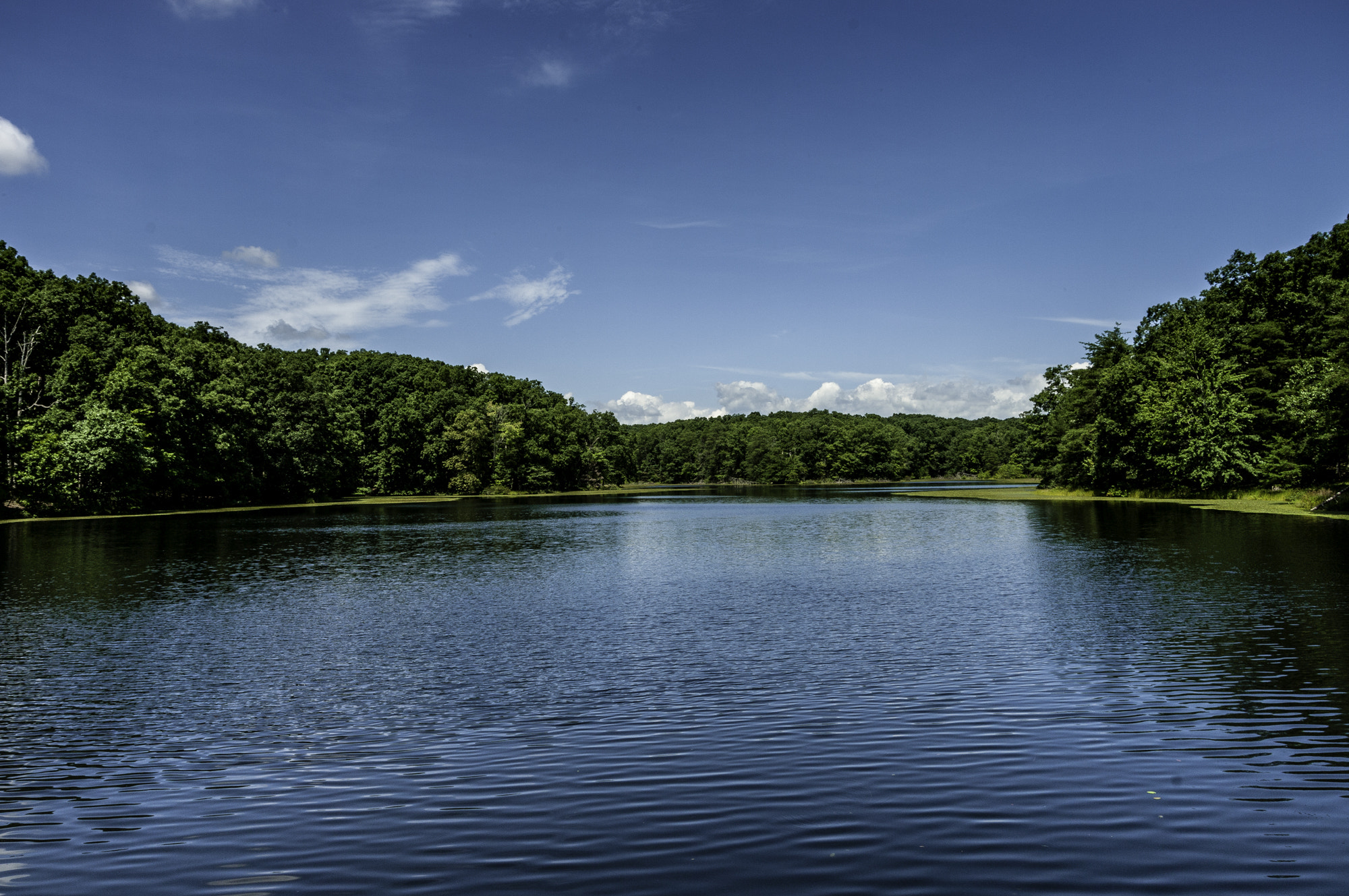 Pentax K20D sample photo. State forest photography