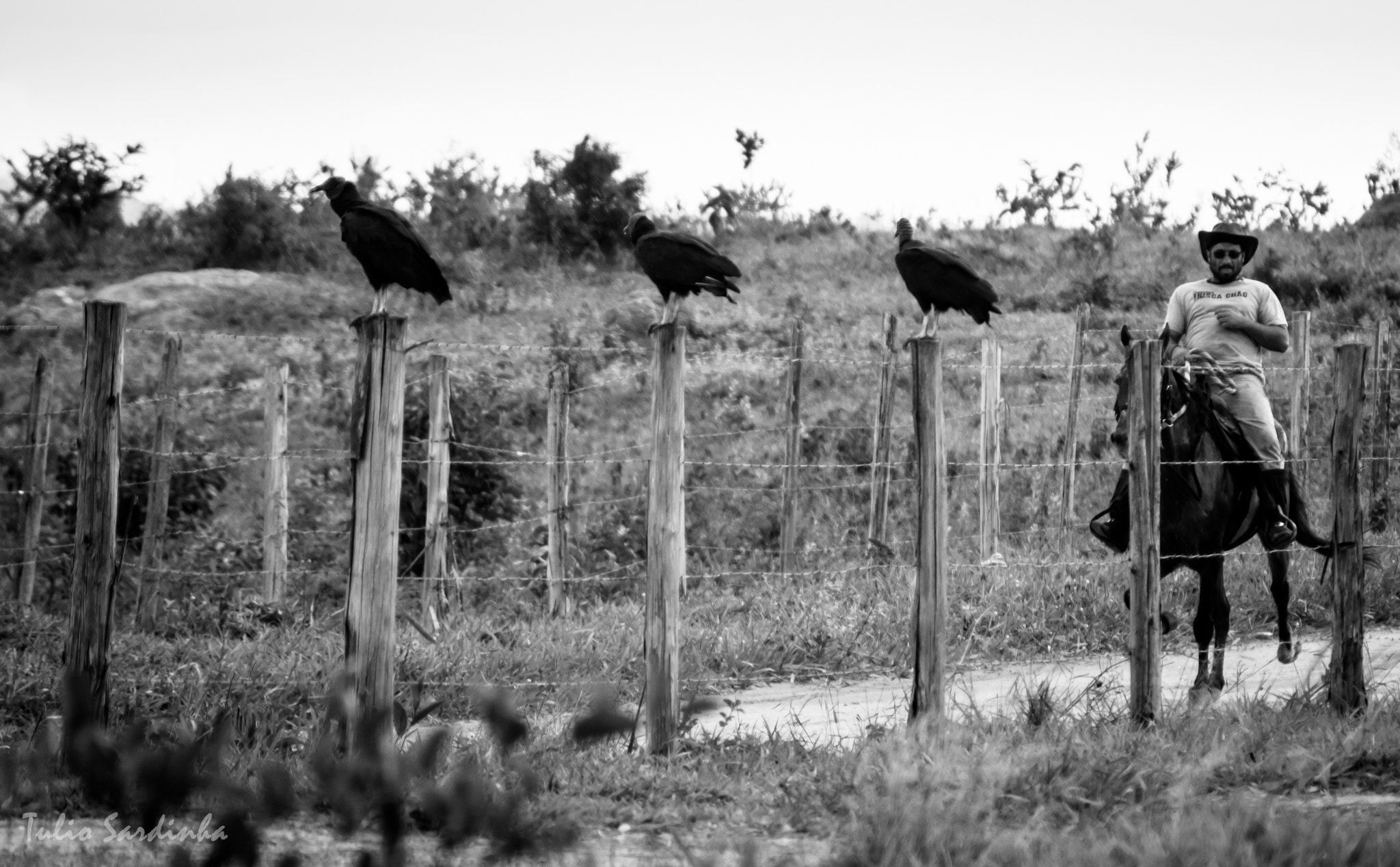 Sony 75-300mm F4.5-5.6 sample photo. Careful where you walk! photography
