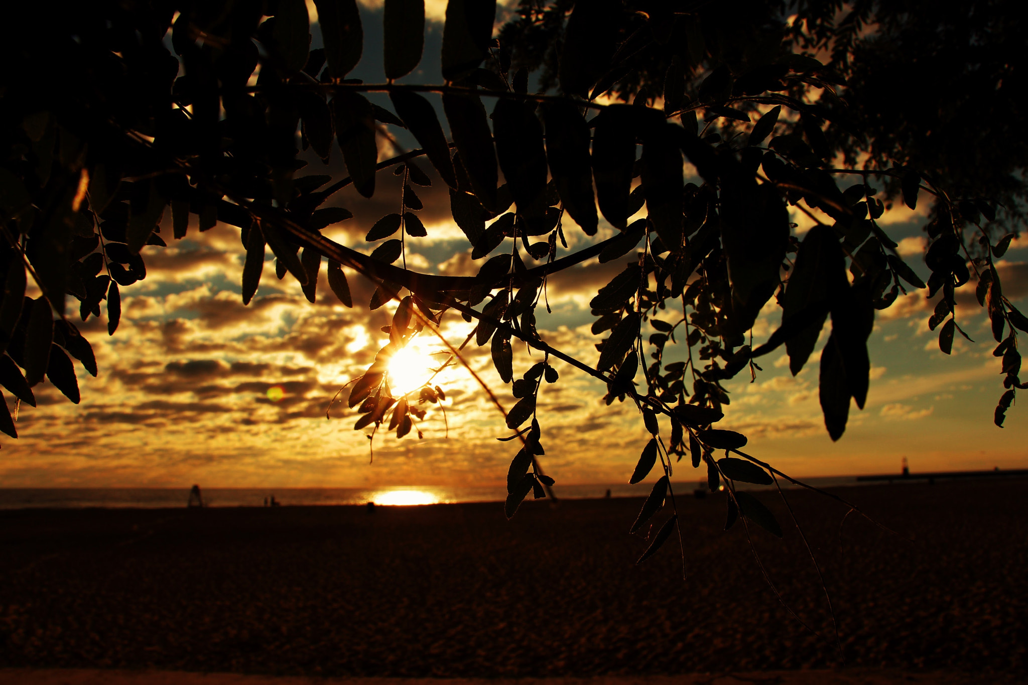 Canon EOS 650D (EOS Rebel T4i / EOS Kiss X6i) sample photo. Postcard perfection photography