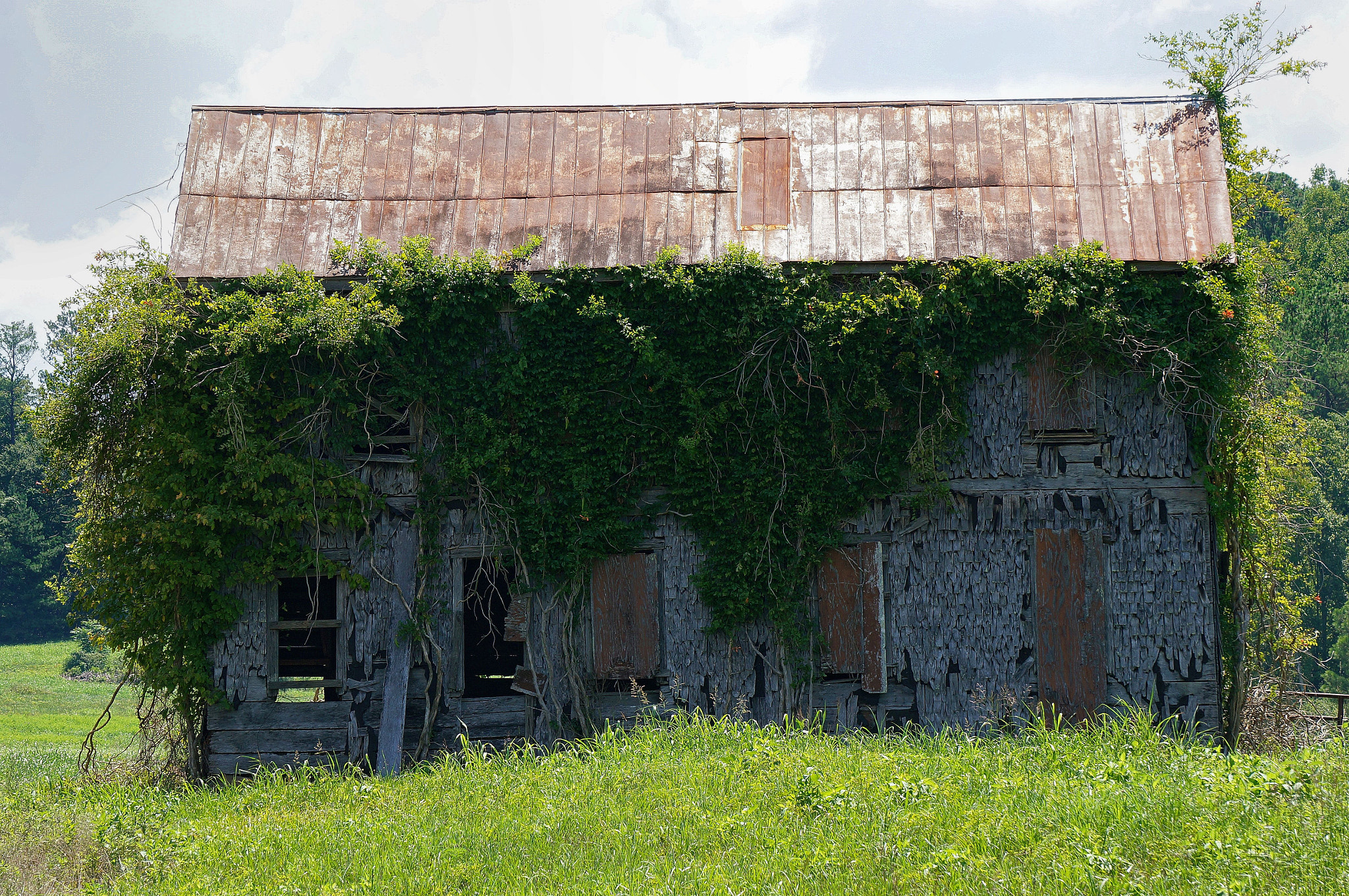 Sony Alpha NEX-5T + Sony E 55-210mm F4.5-6.3 OSS sample photo. Abandoned by human, found by nature photography