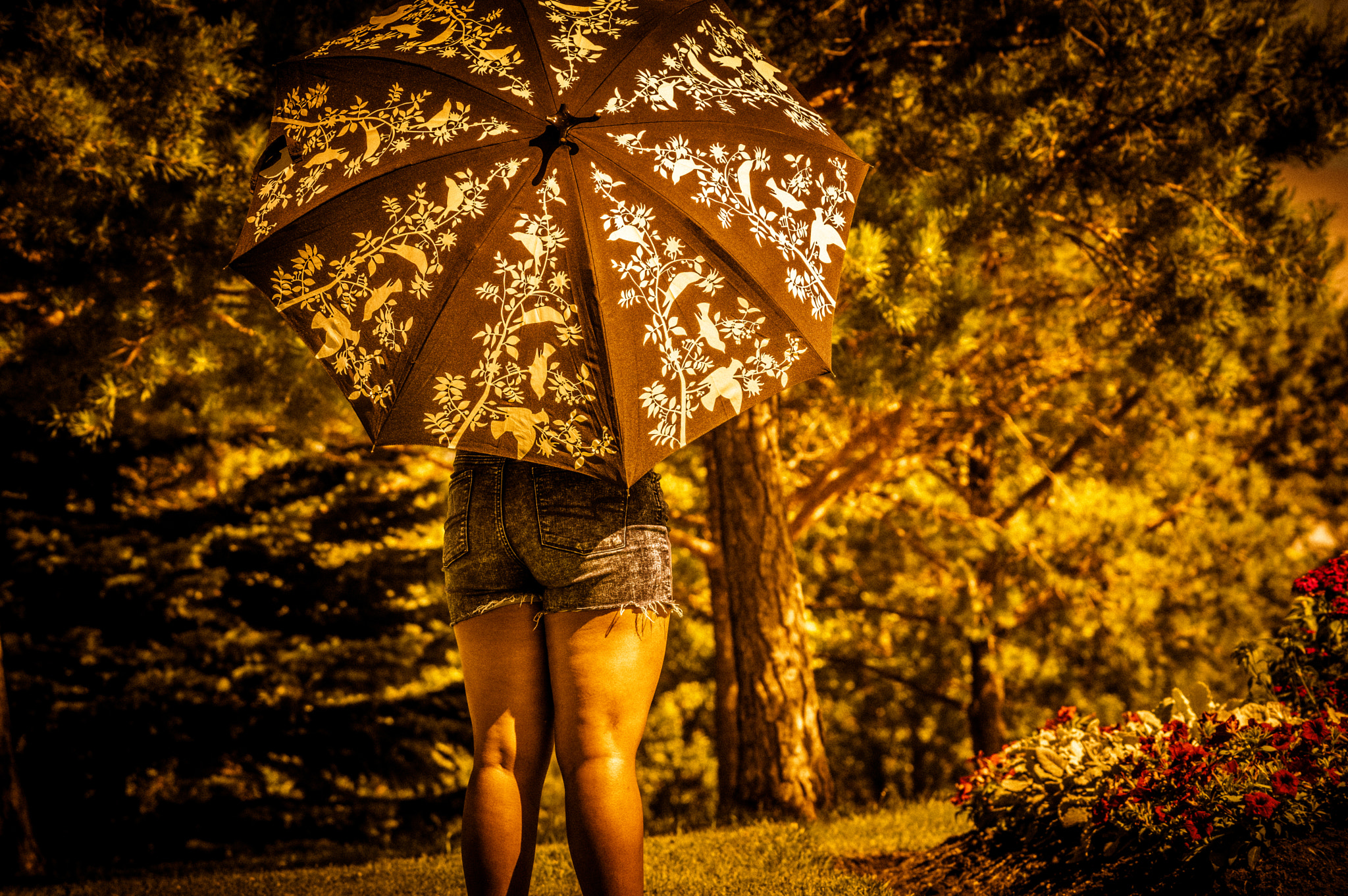 Pentax K-3 II + Sigma 150-500mm F5-6.3 DG OS HSM sample photo. Girl under umbrella photography