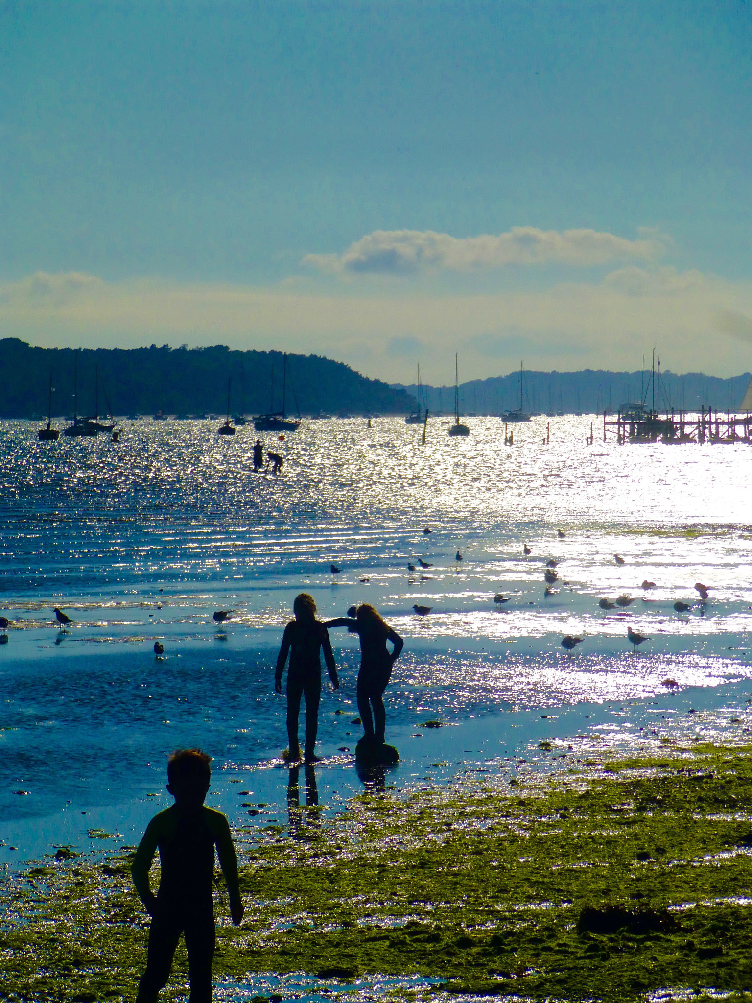 Panasonic DMC-SZ7 sample photo. Sun turns sea silver. poole bay august 2016 photography