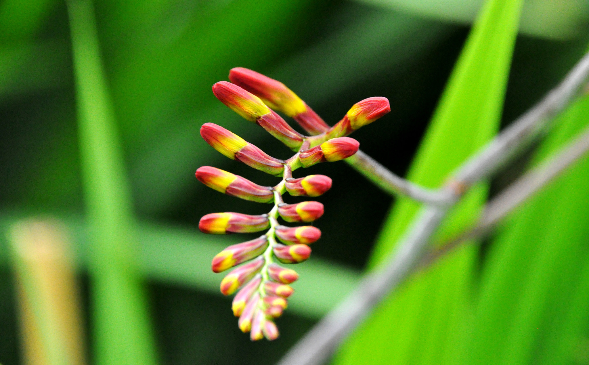 Nikon D5000 sample photo. () photography